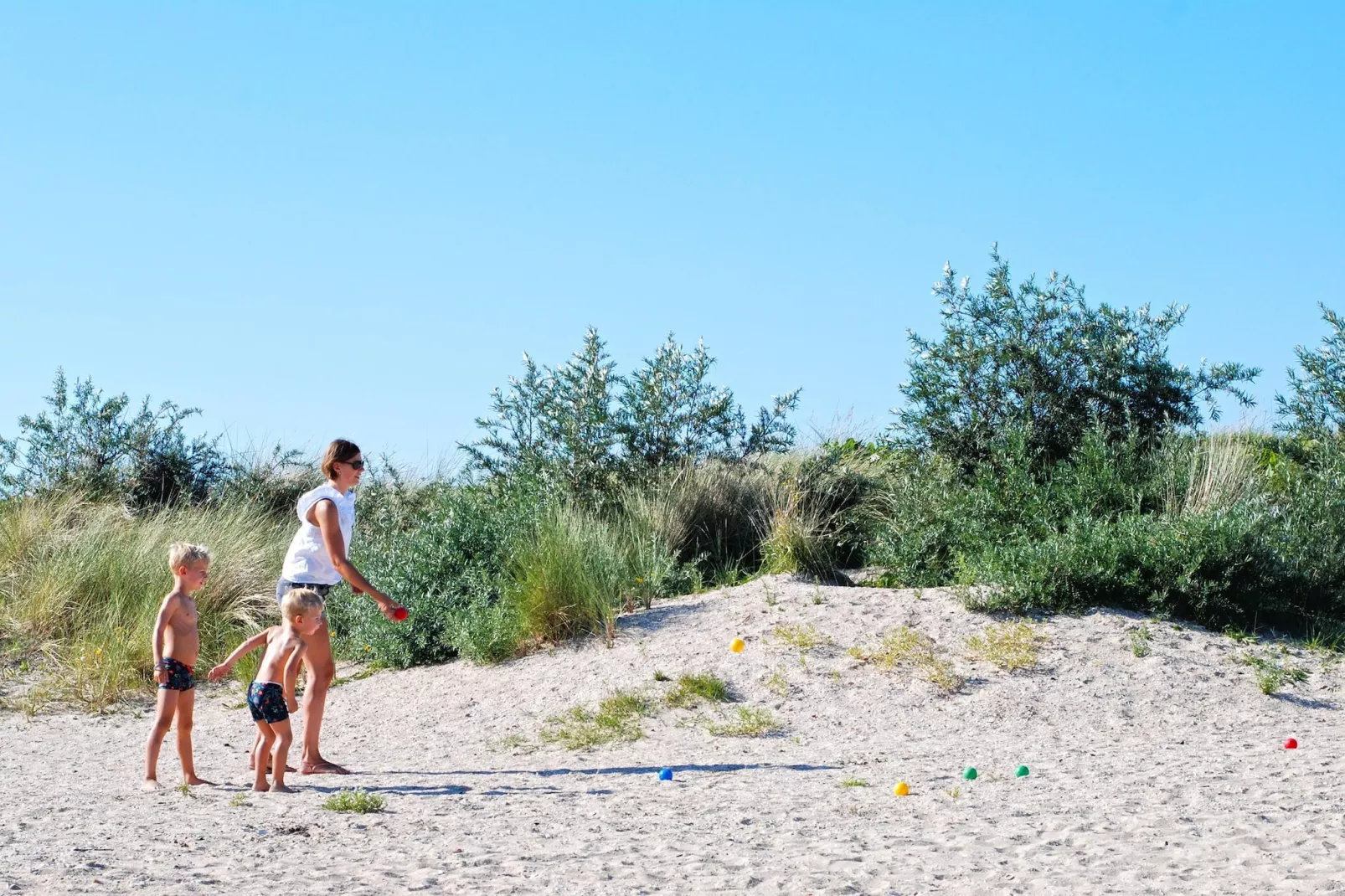 8-persoons geschakeld-Gebieden zomer 1km