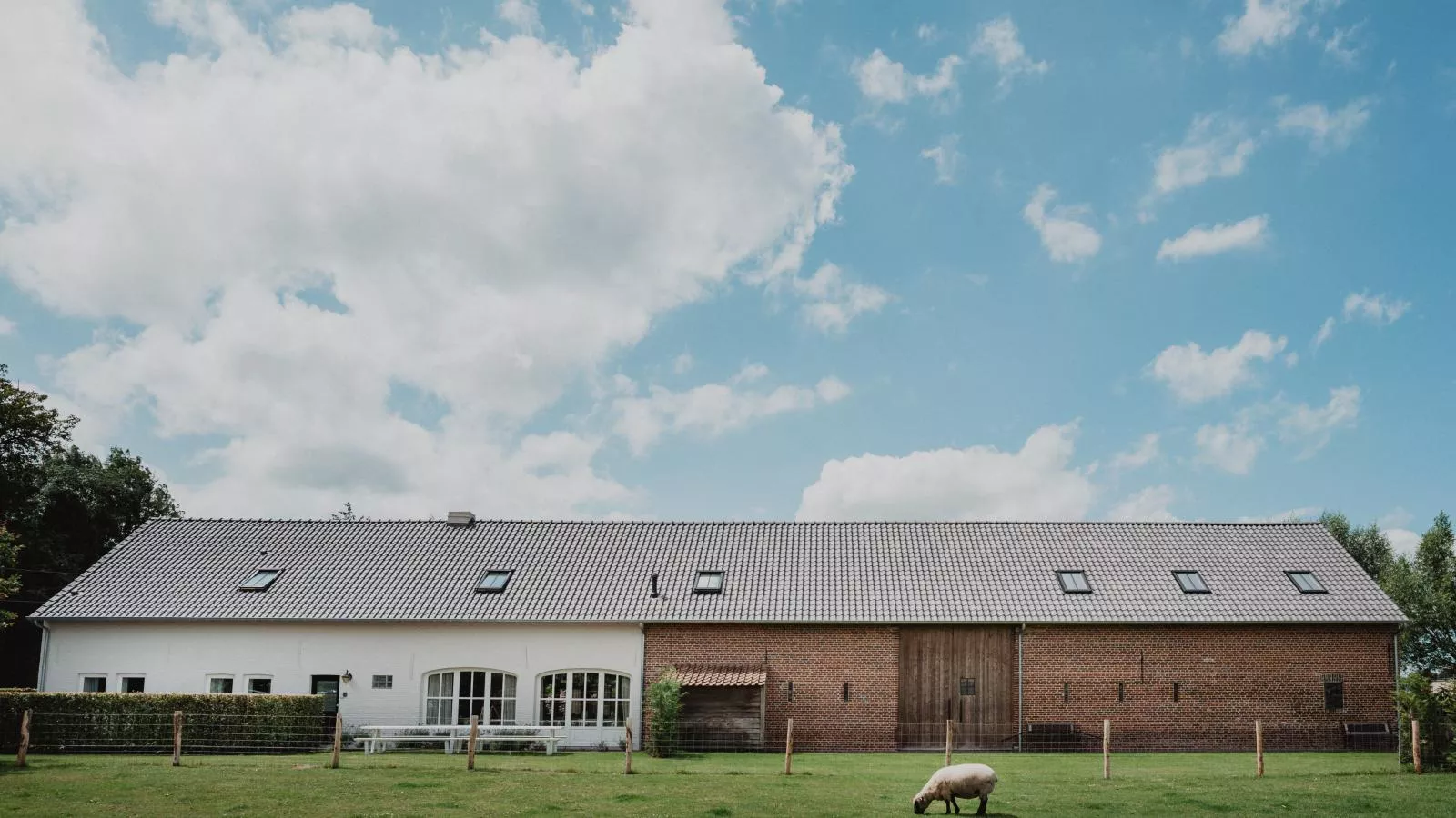 Caprice - Maldegem-Buitenkant zomer