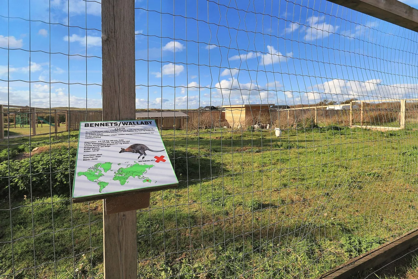 Vakantiehuis met speeltuin-Uitzicht