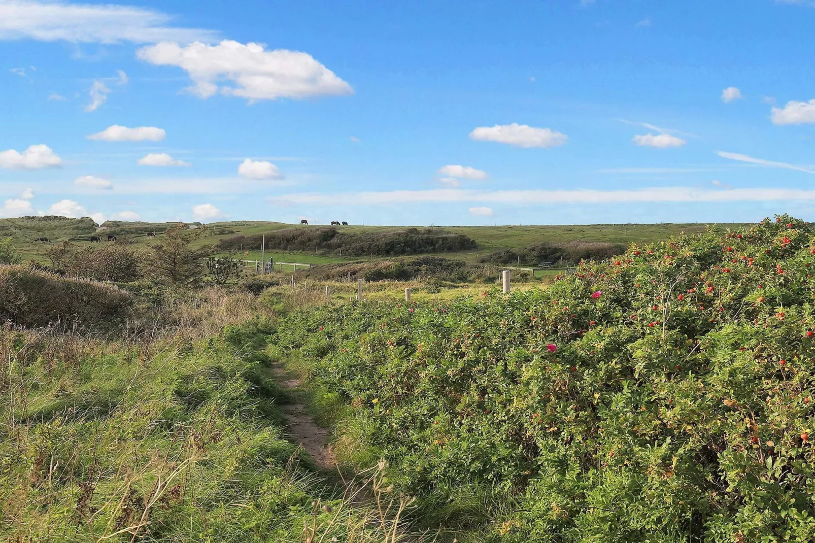 Vakantiehuis met uitzicht op de natuur-Uitzicht