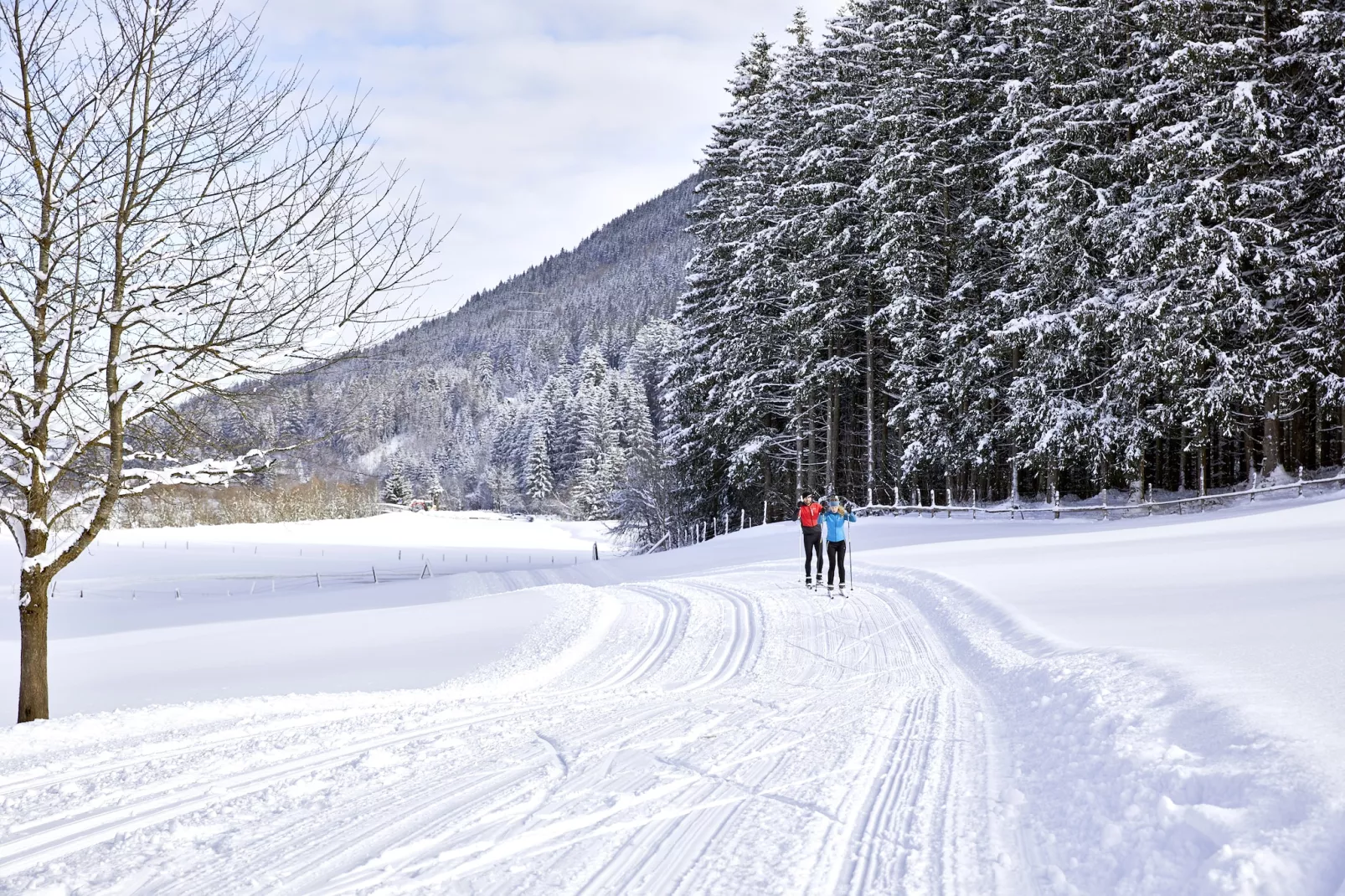 Villa Venedigersonne-Gebied winter 20km