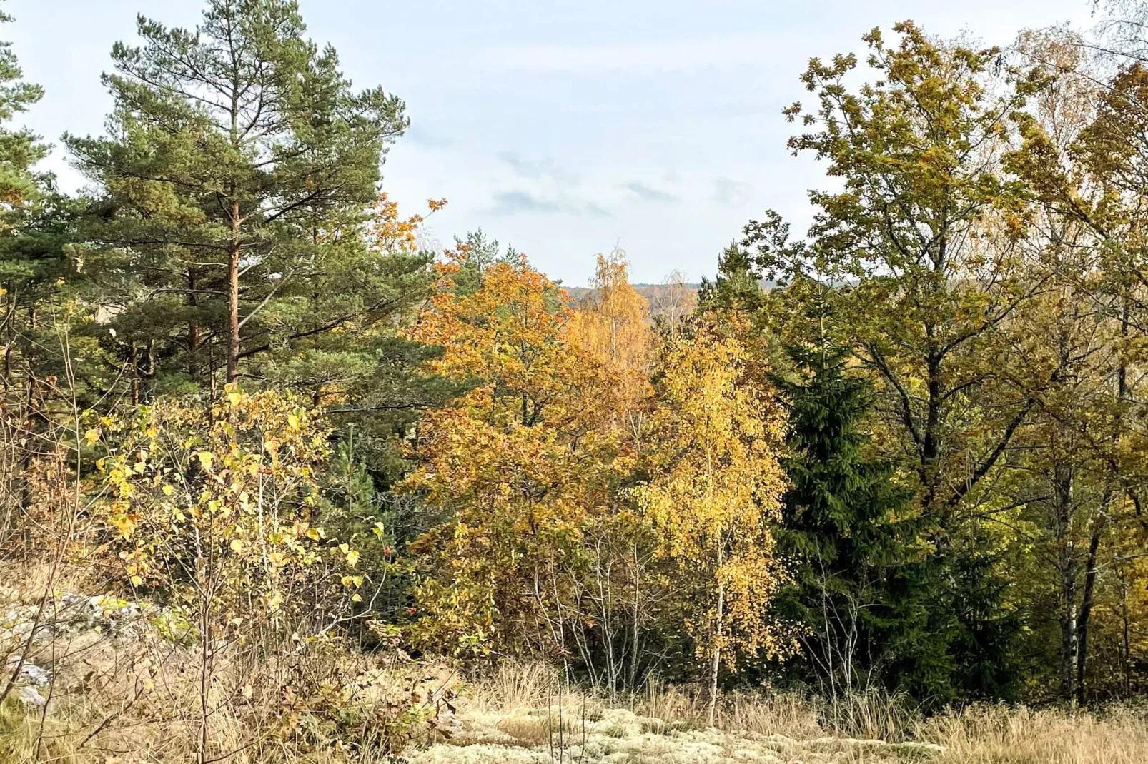 4 sterren vakantie huis in Fengersfors-Buitenlucht