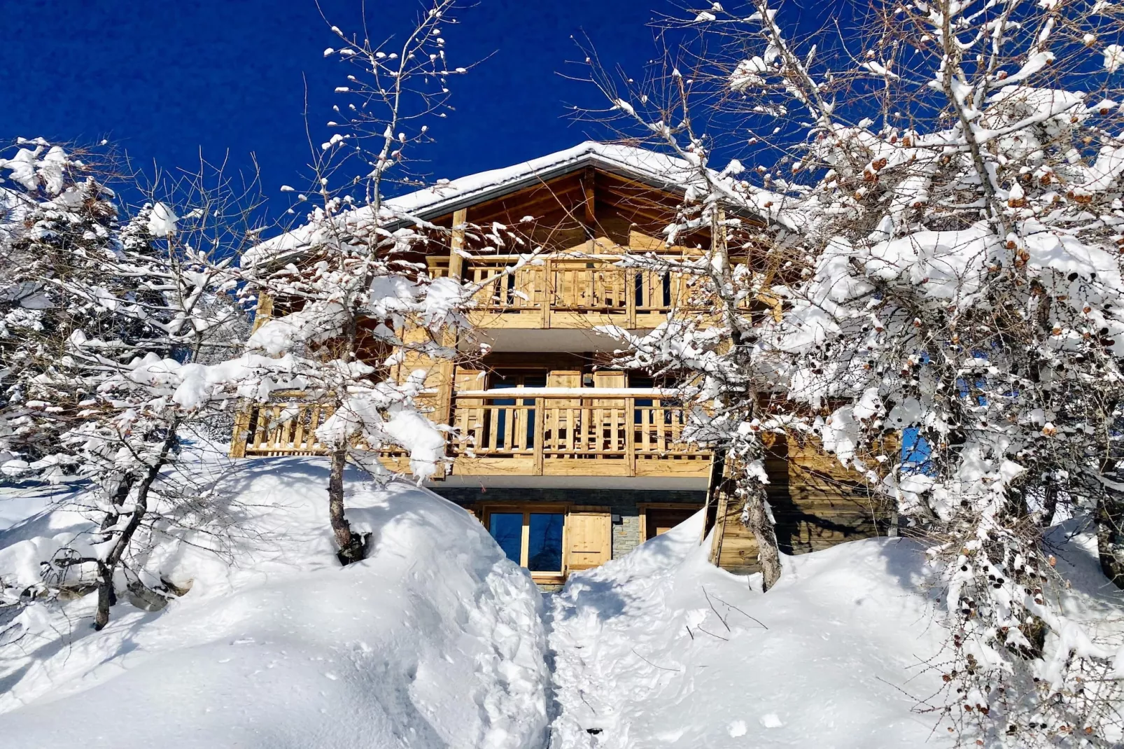 Paradis Perdu SKI IN & QUIET chalet 14 personnes