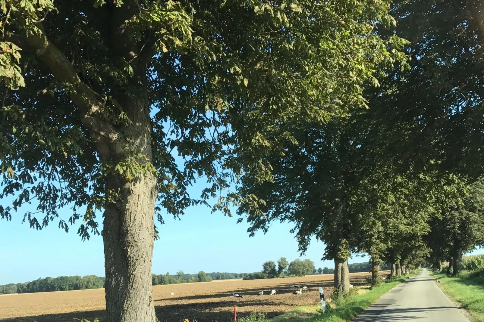 Altes Kunsthaus mit Tagungsraum XL-Gebieden zomer 20km