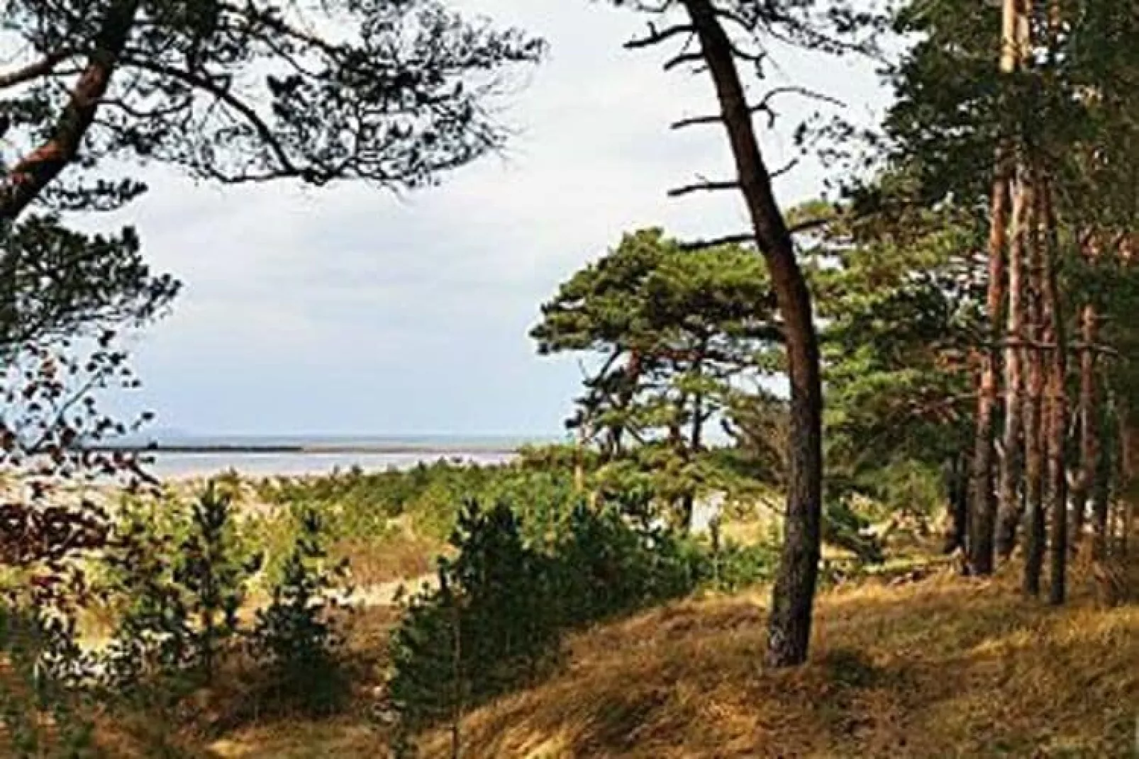 Ferienwohnung Rügenblick-Gebieden zomer 1km