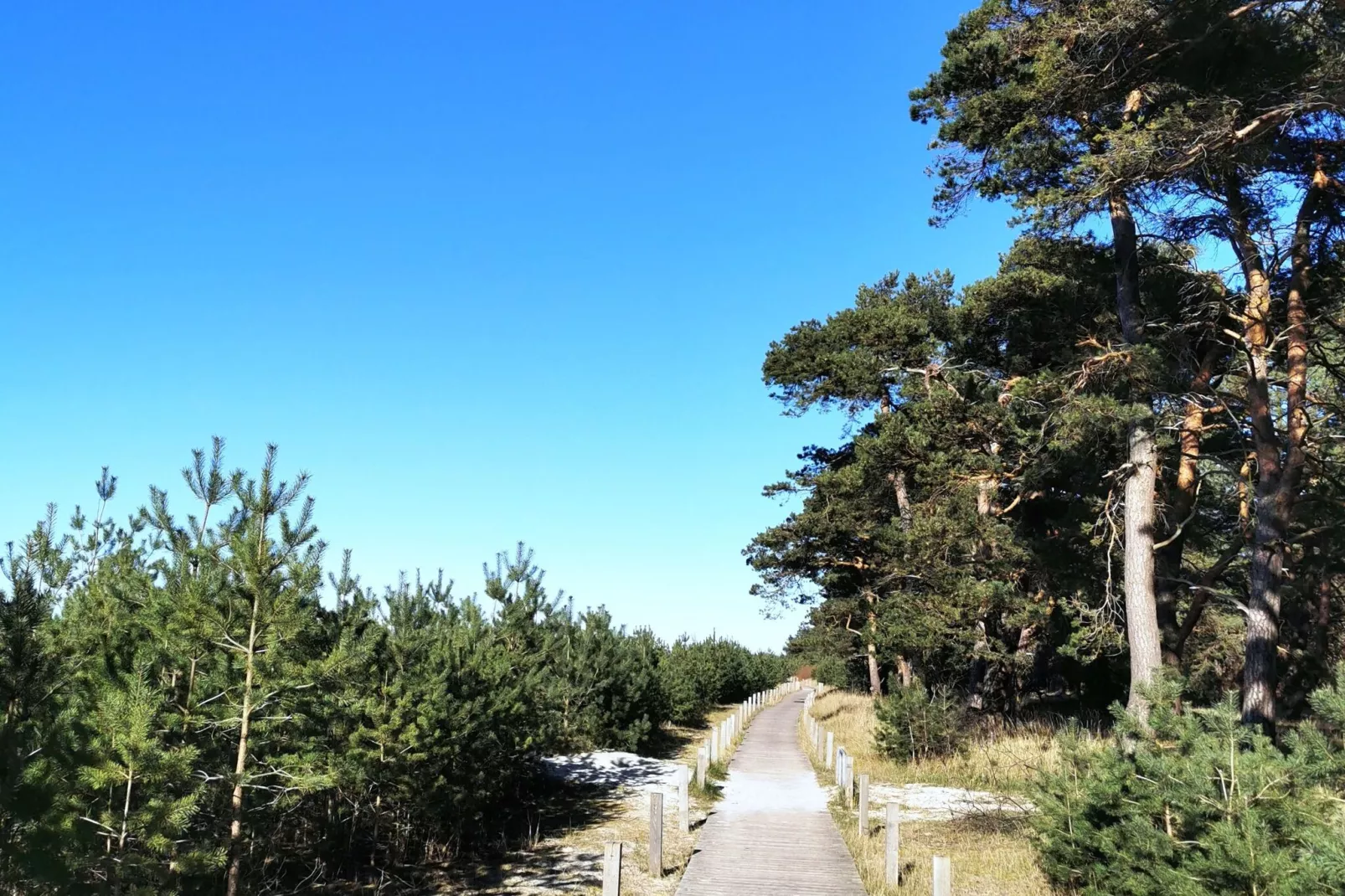 Ferienwohnung Rügenblick-Gebieden zomer 5km