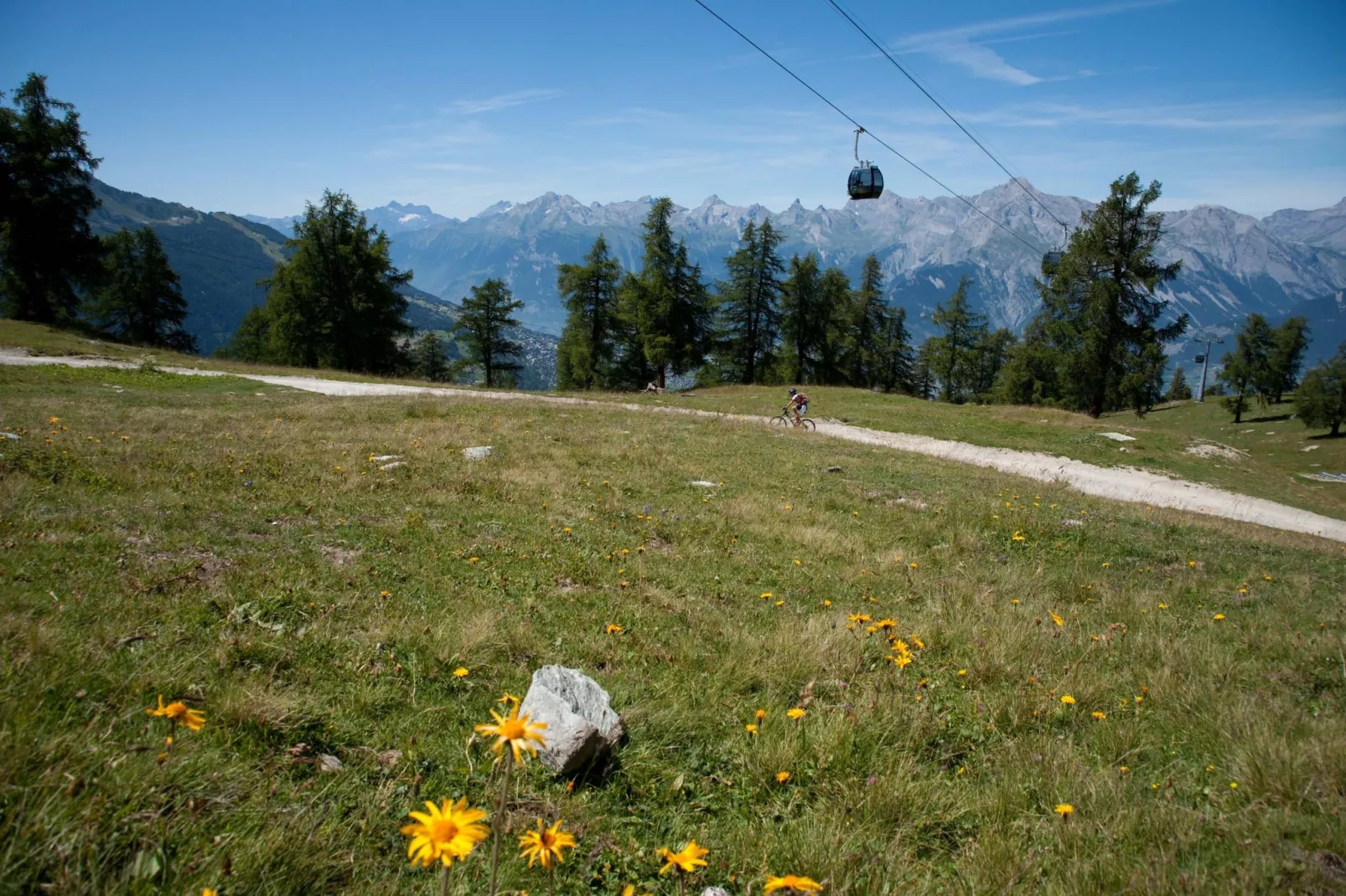 Magrappé M 647 - SKI LIFT apartment 5 pers-Gebieden zomer 1km