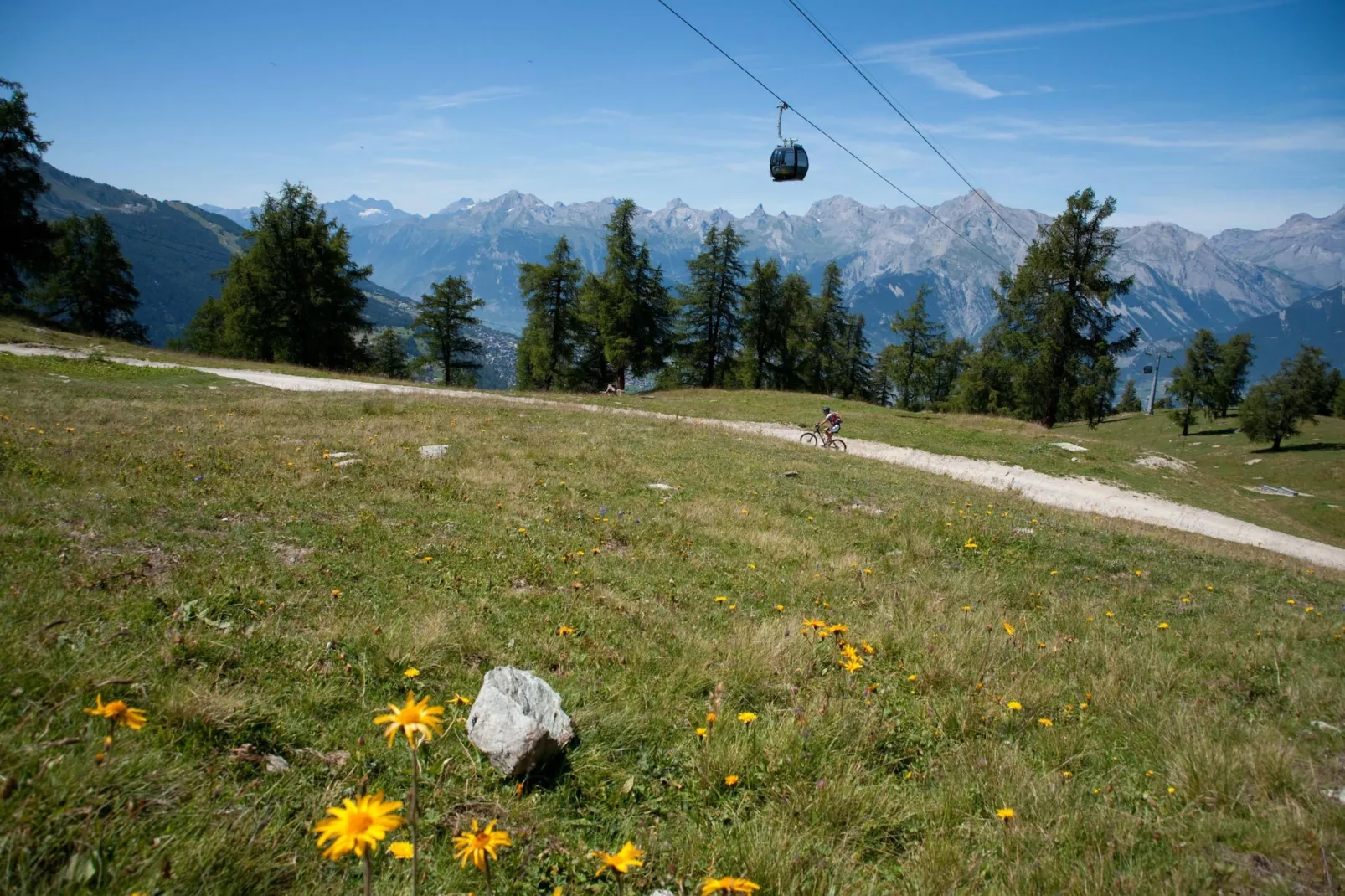 Diablerets D 010 -MOUNTAIN apartment 6 pers-Gebieden zomer 1km