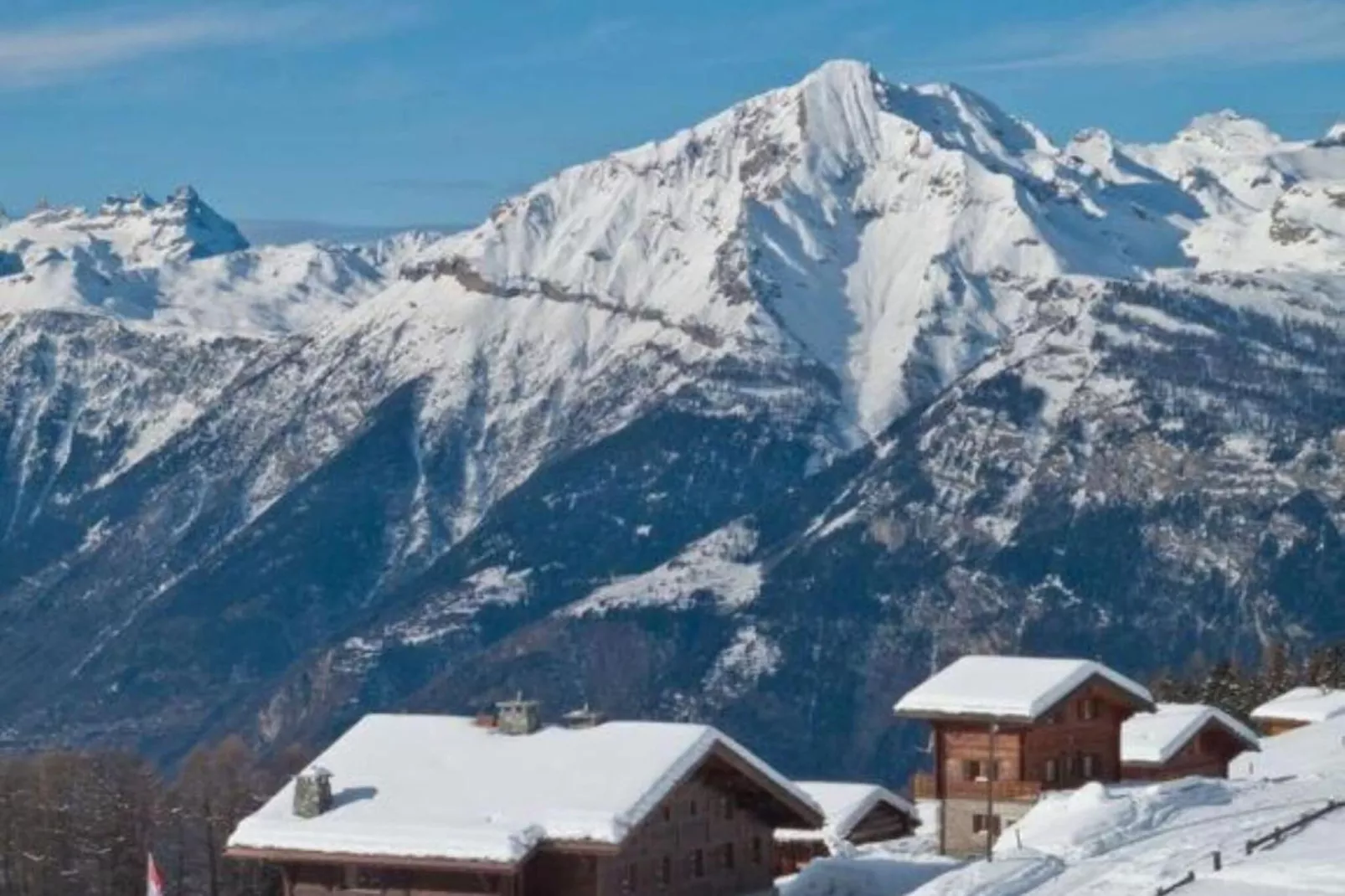 Des Alpes 003 - ON THE SLOPES apartment 10 pers-Gebied winter 5km