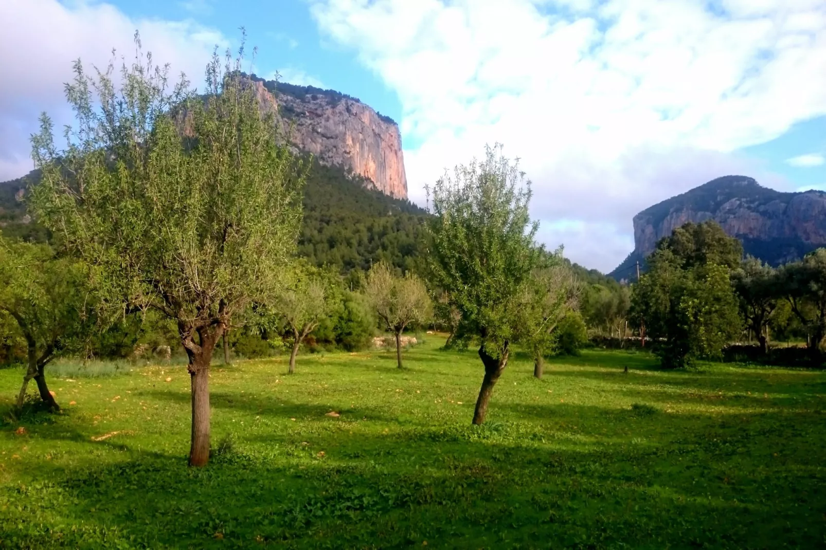 Ca Na Carme (alaronera)-Buitenkant zomer