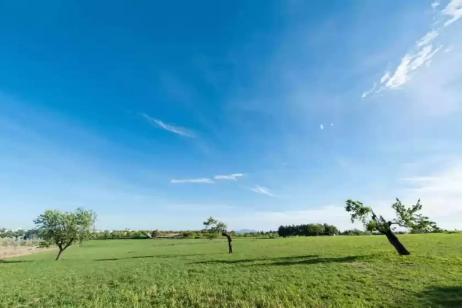 Granja-Gebieden zomer 20km