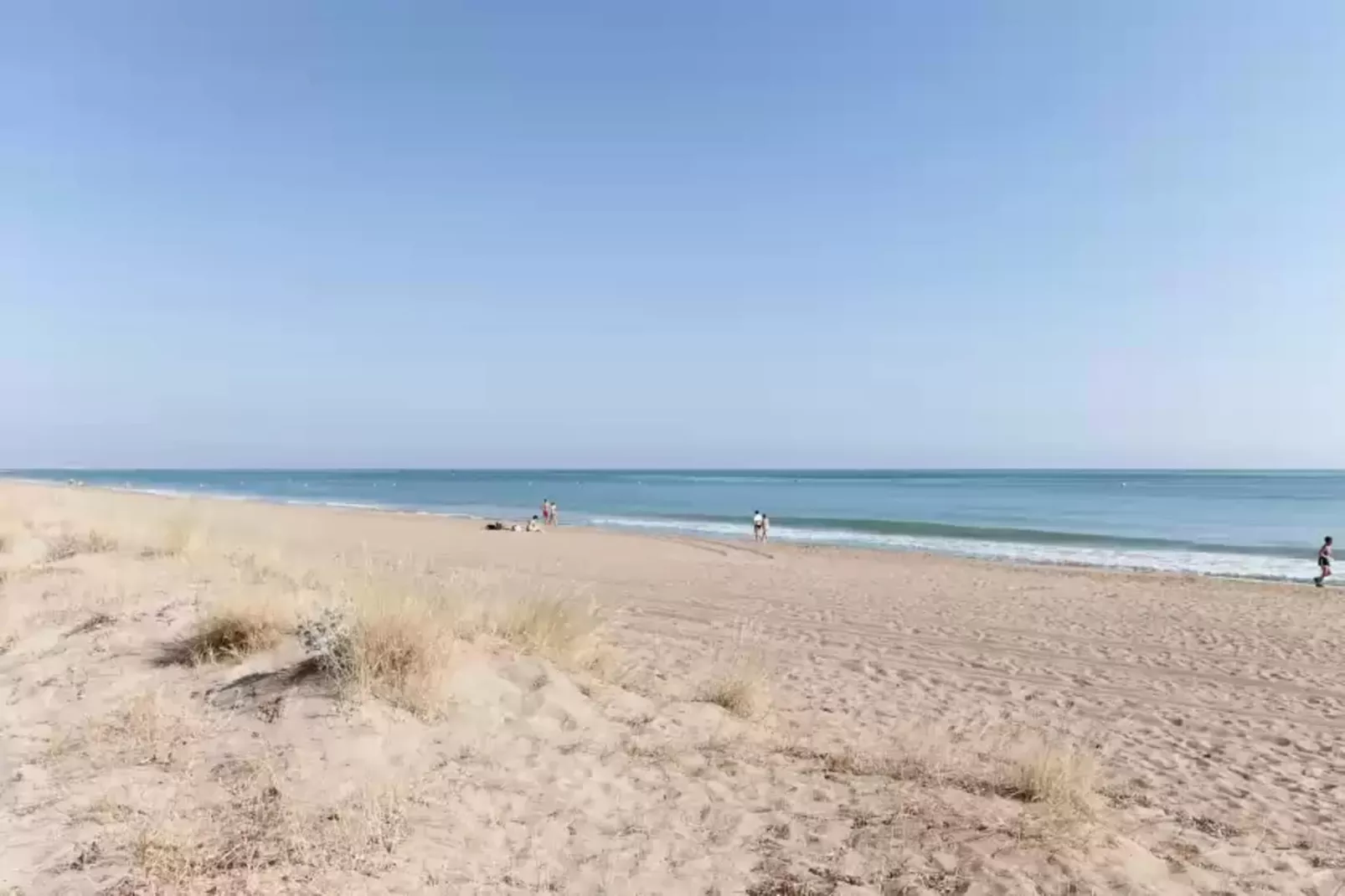 Cascades-Gebieden zomer 1km