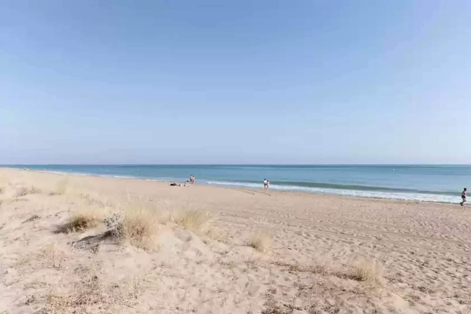 FaisÀ-Gebieden zomer 1km