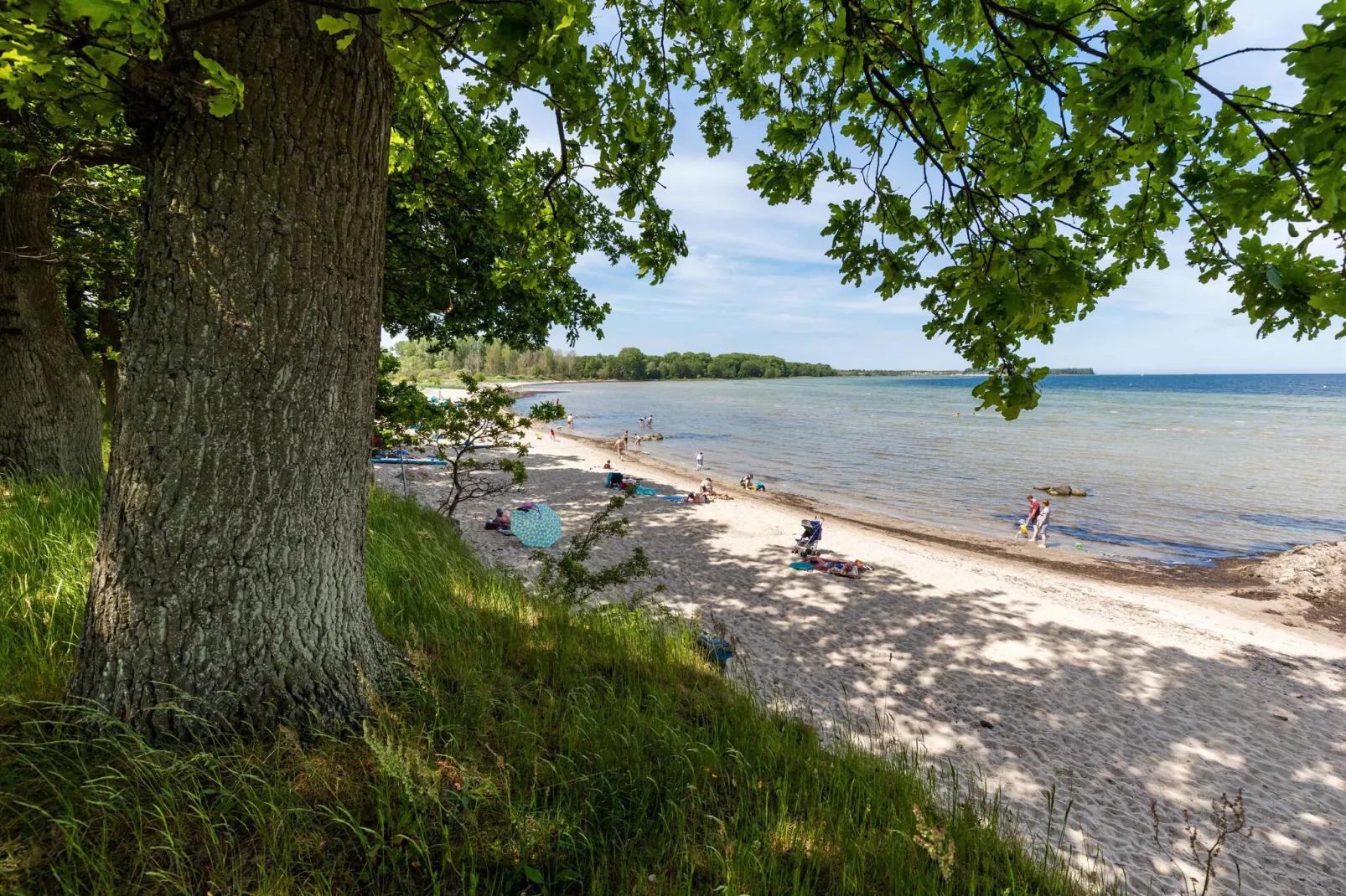 Ferienhaus Mole 1-Gebieden zomer 5km