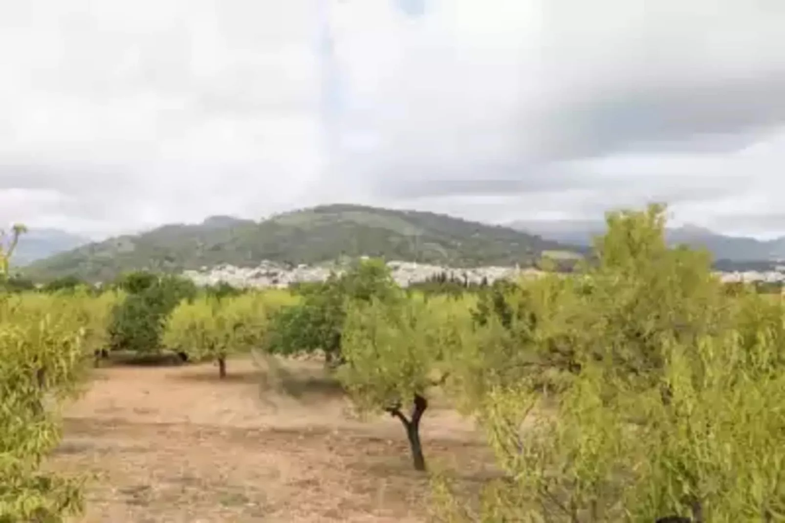 Es Mirador-Gebieden zomer 1km