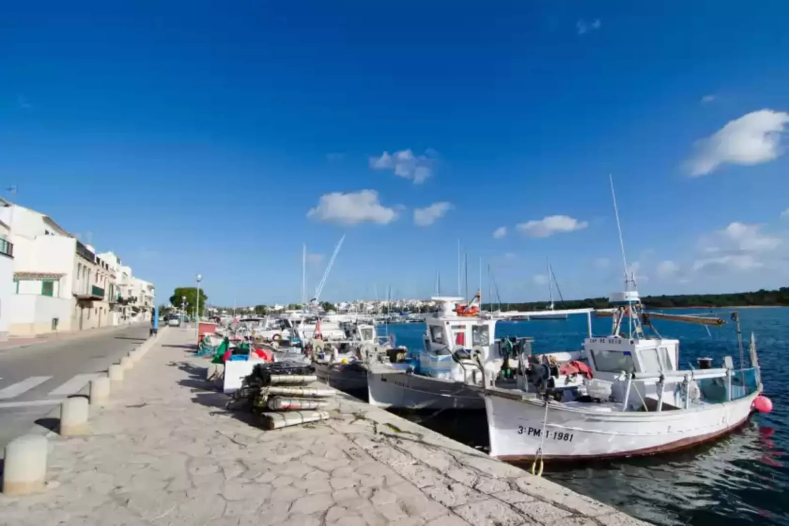 Es Port-Gebieden zomer 1km