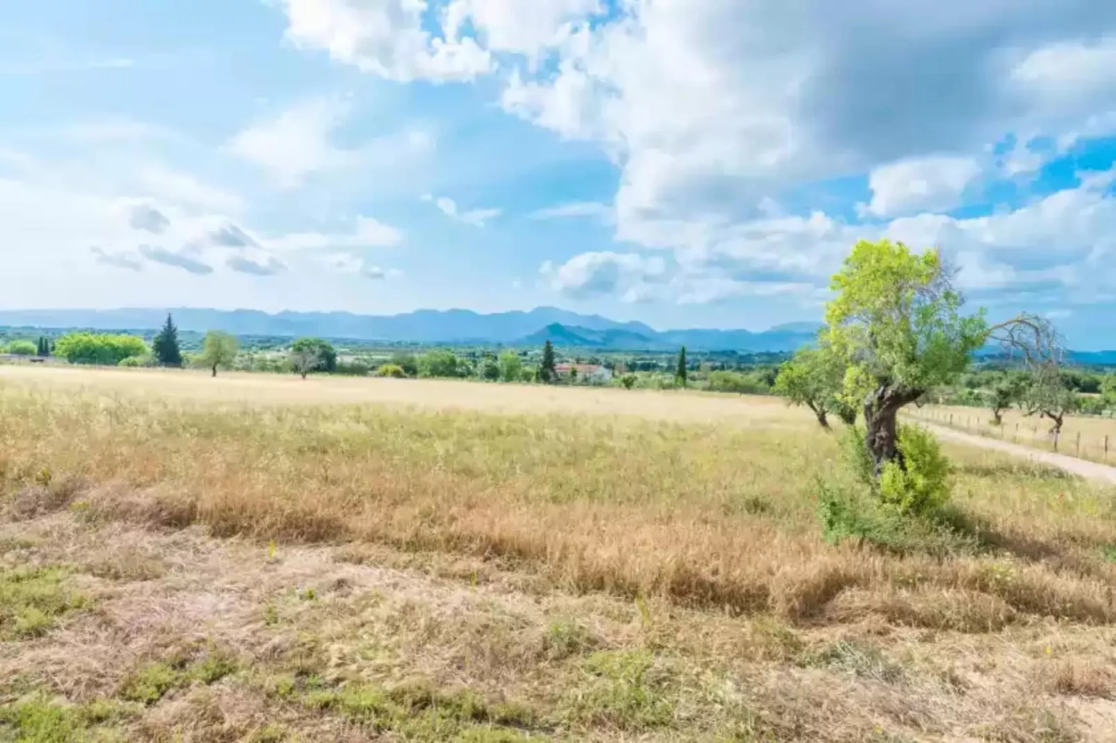 Sa Vinyota-Gebieden zomer 1km