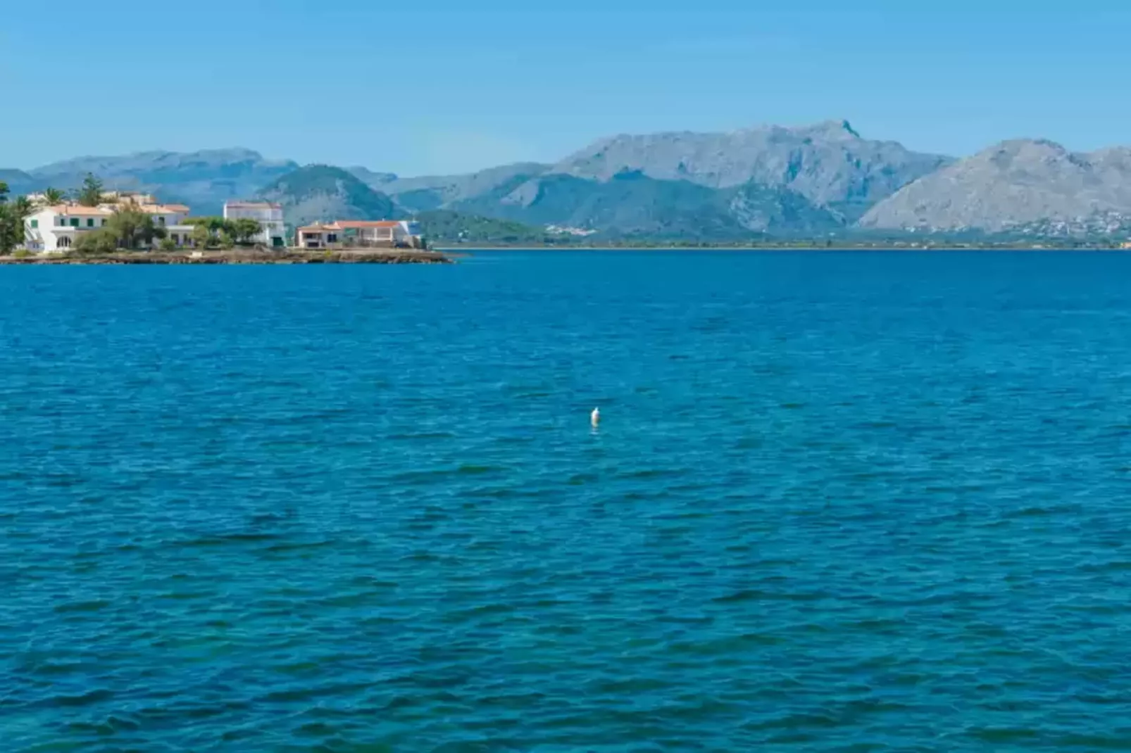 Can Caimari-Gebieden zomer 1km