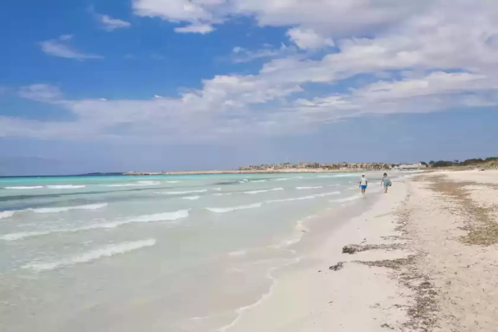 Torre Marina (alga Marina)-Gebieden zomer 1km