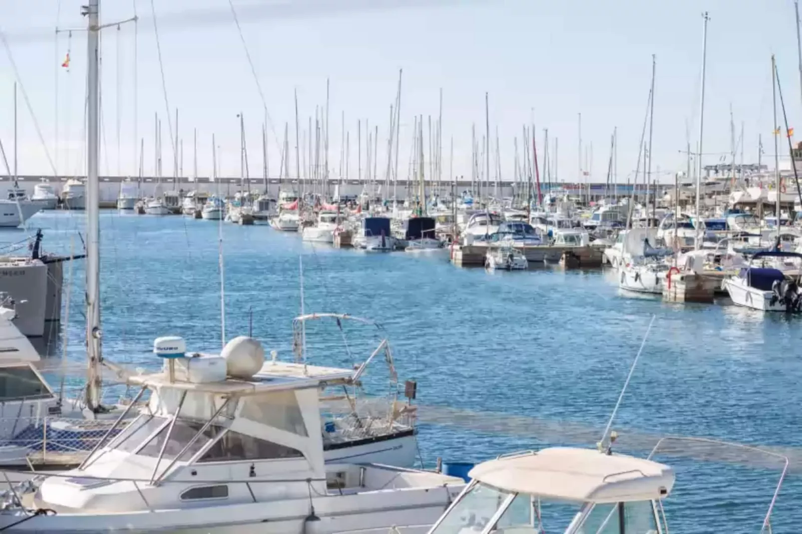 Torre Marina (alga Marina)-Gebieden zomer 1km