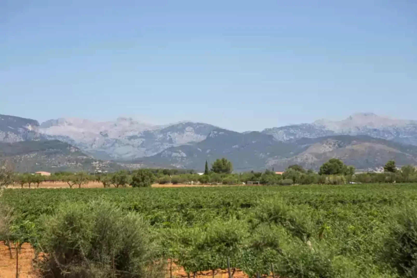 Es Blanquer De Na Fani-Gebieden zomer 1km