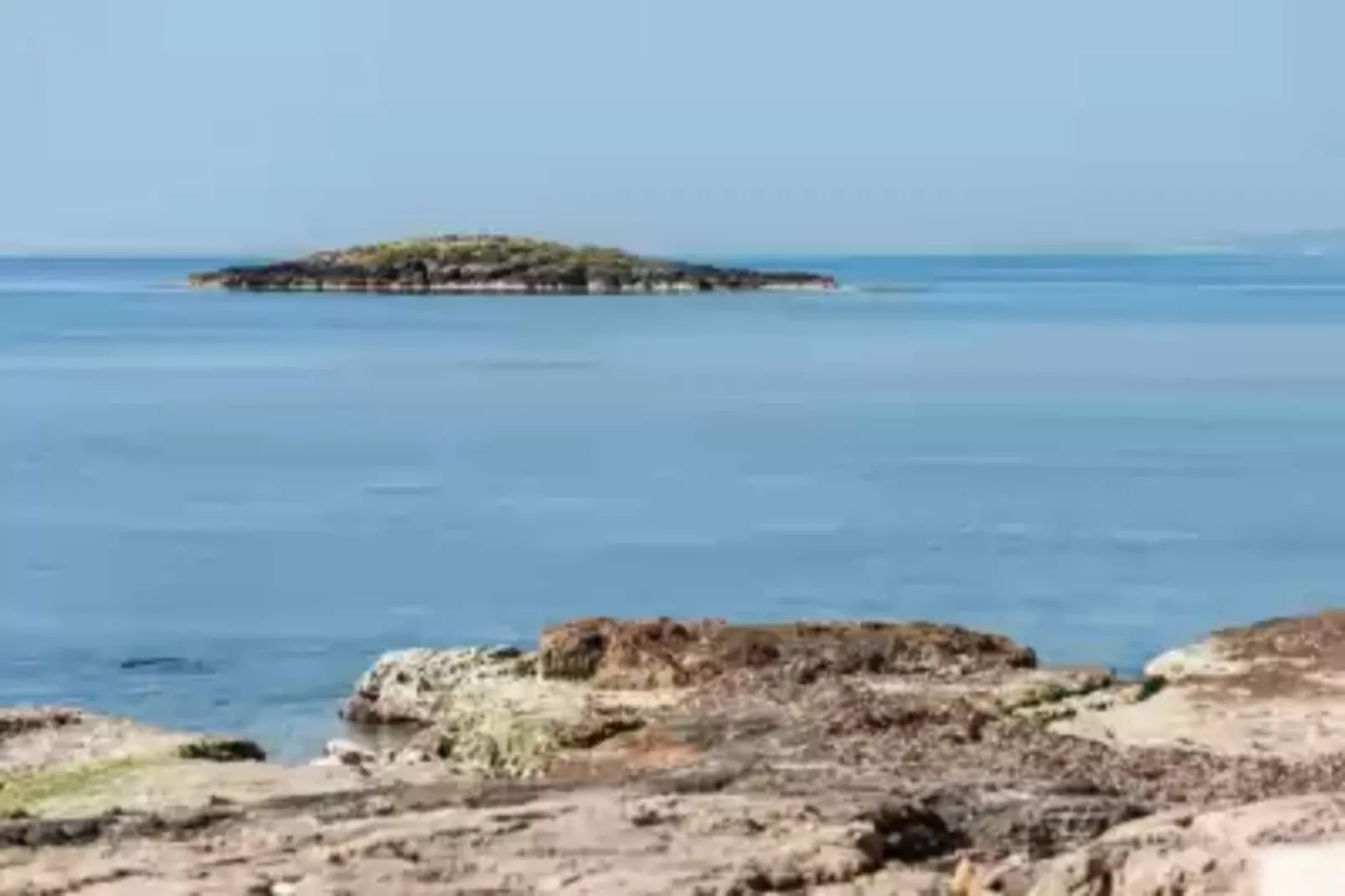 Can Ferro-Gebieden zomer 1km