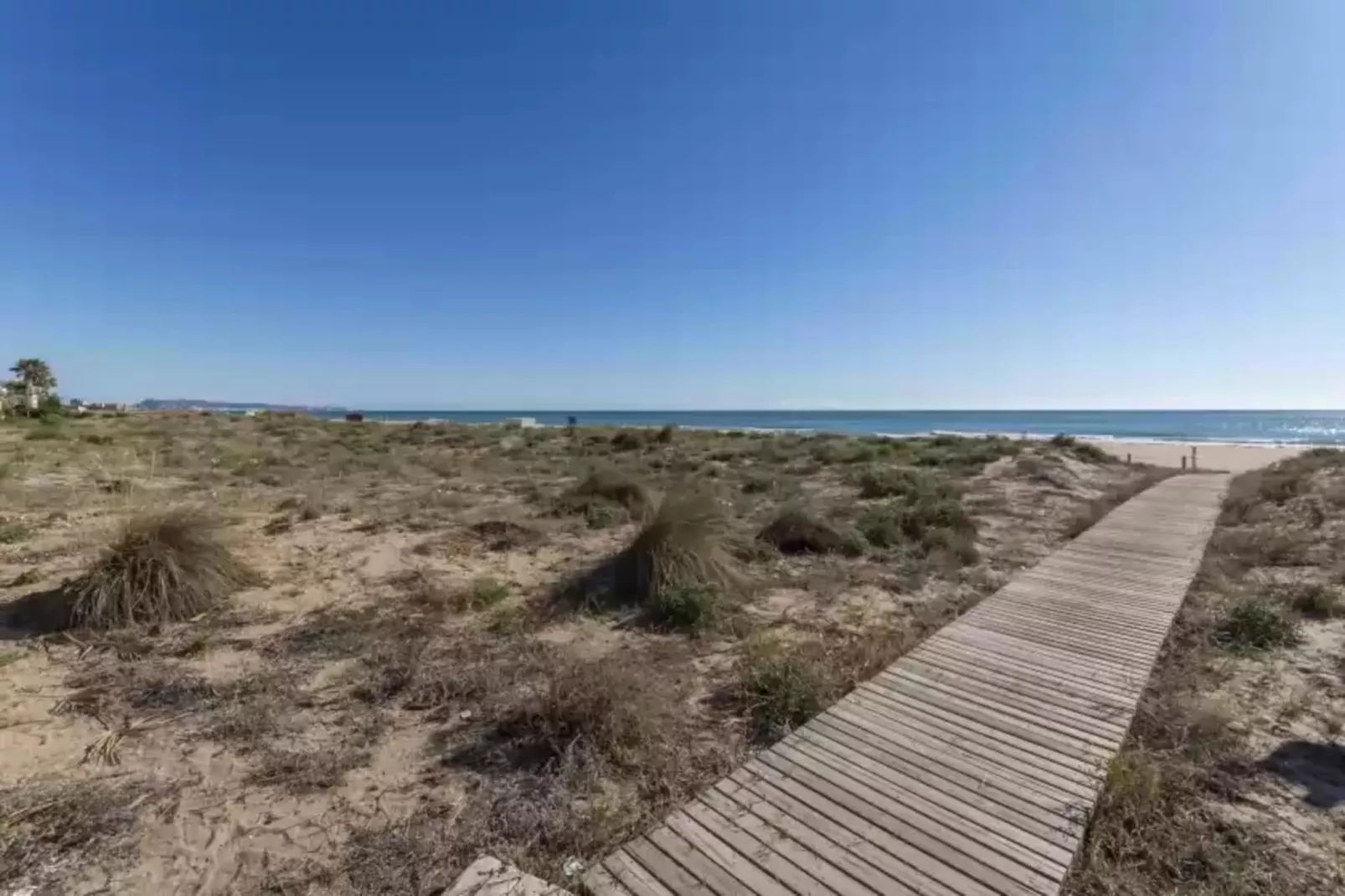 Abaco-Gebieden zomer 5km