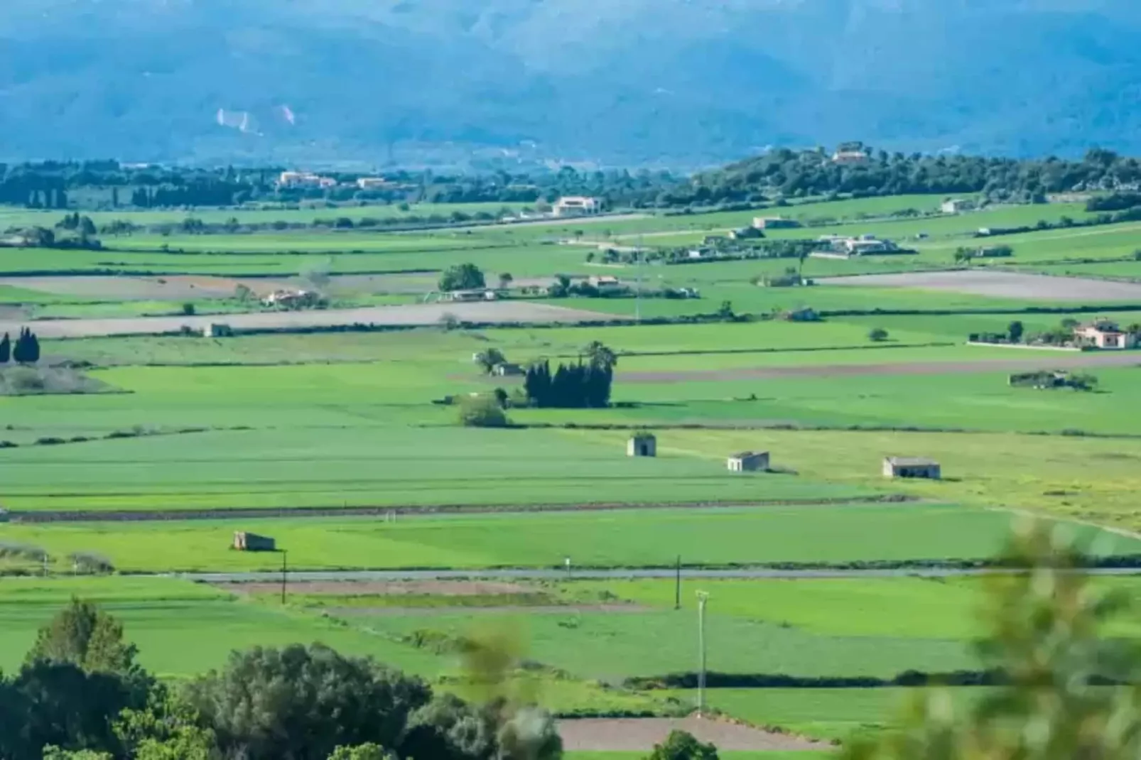 Son Morro-Gebieden zomer 1km