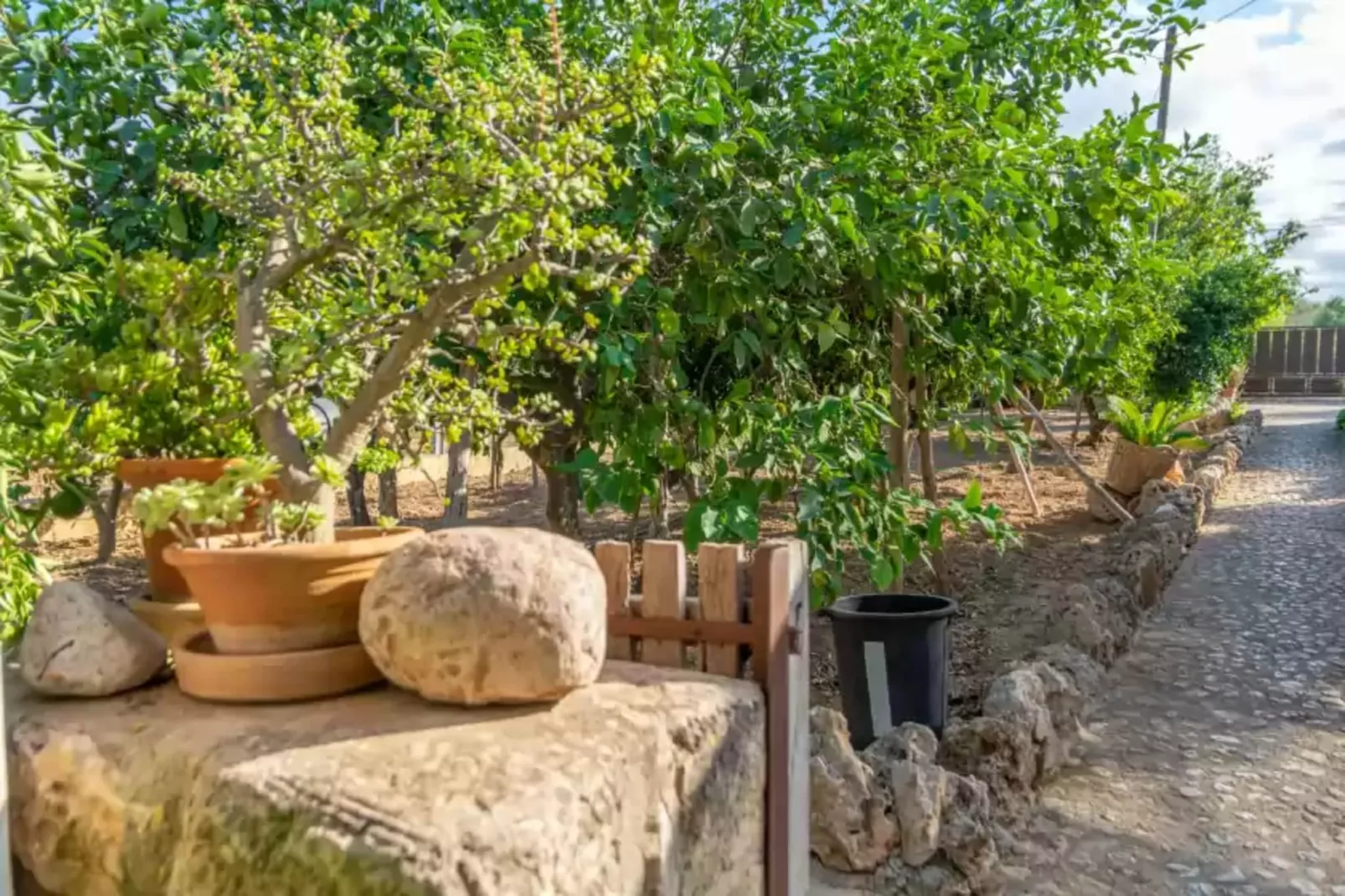 Finca Son Matginet 18-Tuinen zomer