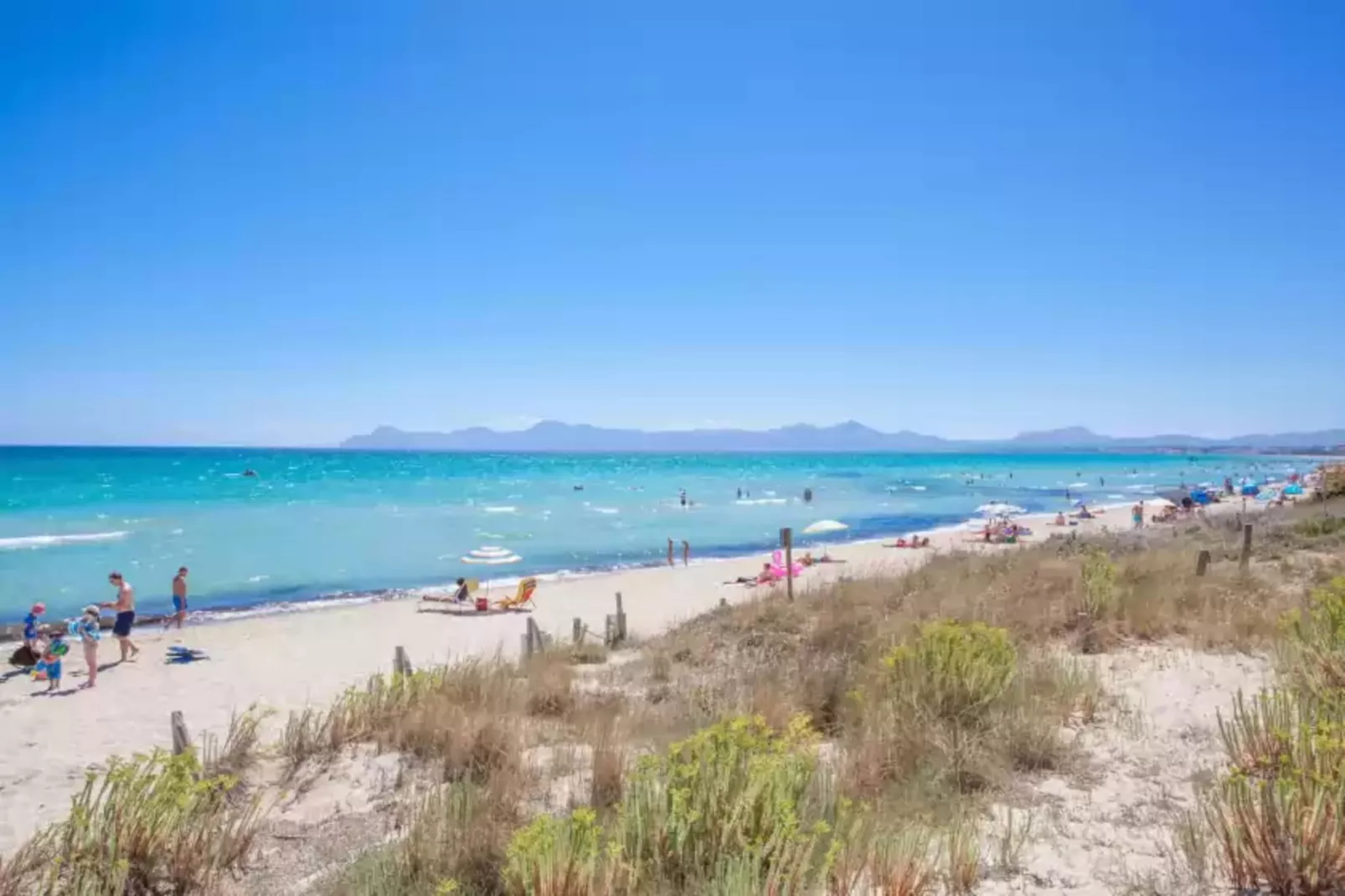 Voramar Ham-Gebieden zomer 1km