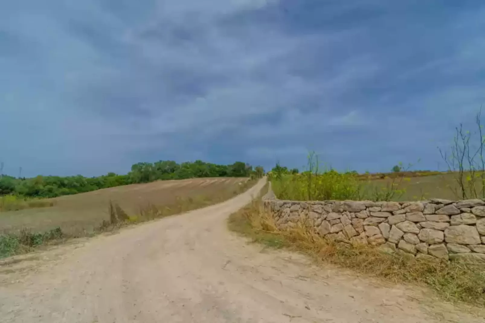 Sa Montanyeta-Gebieden zomer 1km