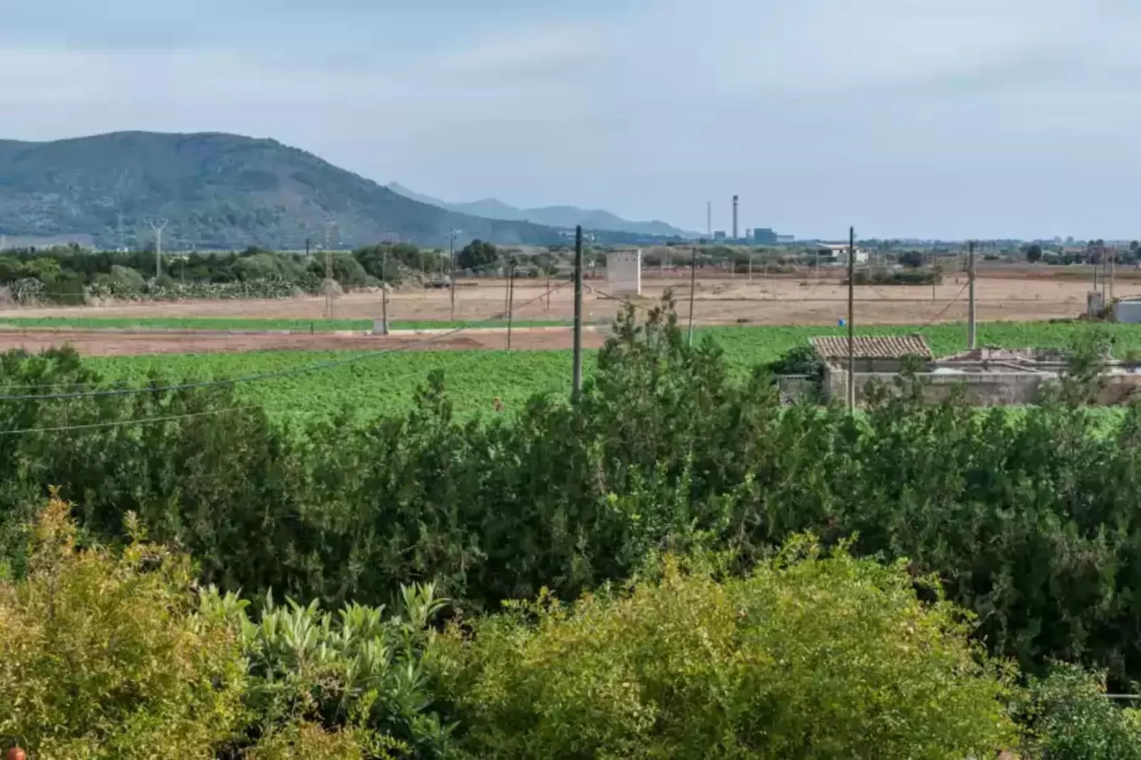 Son Sabater (es Moli Nou)-Gebieden zomer 1km