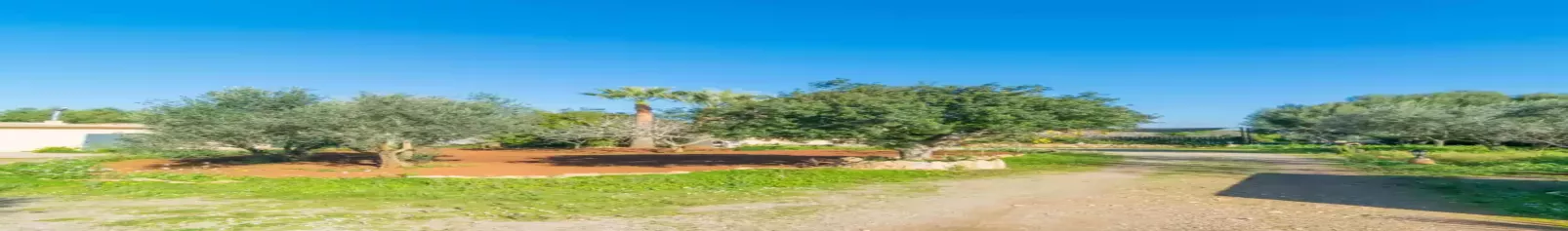 Sa Tanqueta De Ses Roques-Gebieden zomer 5km