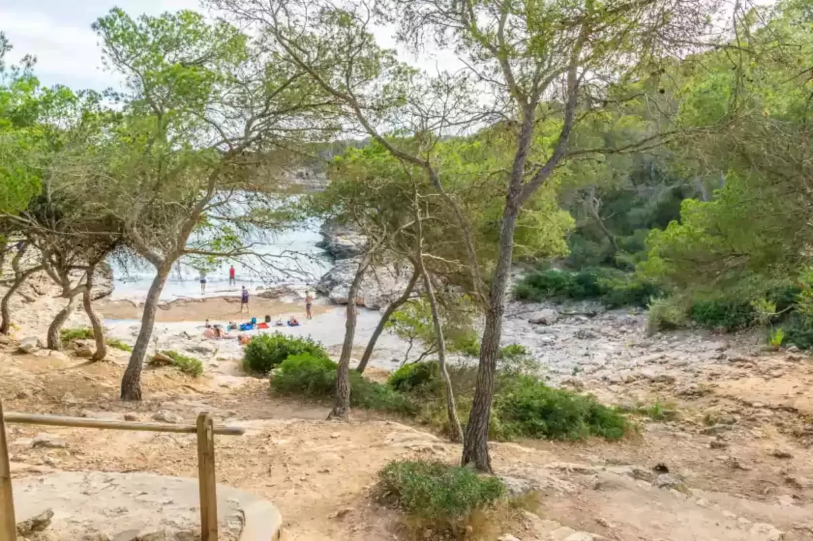 Barca Trencada (a3)-Gebieden zomer 1km