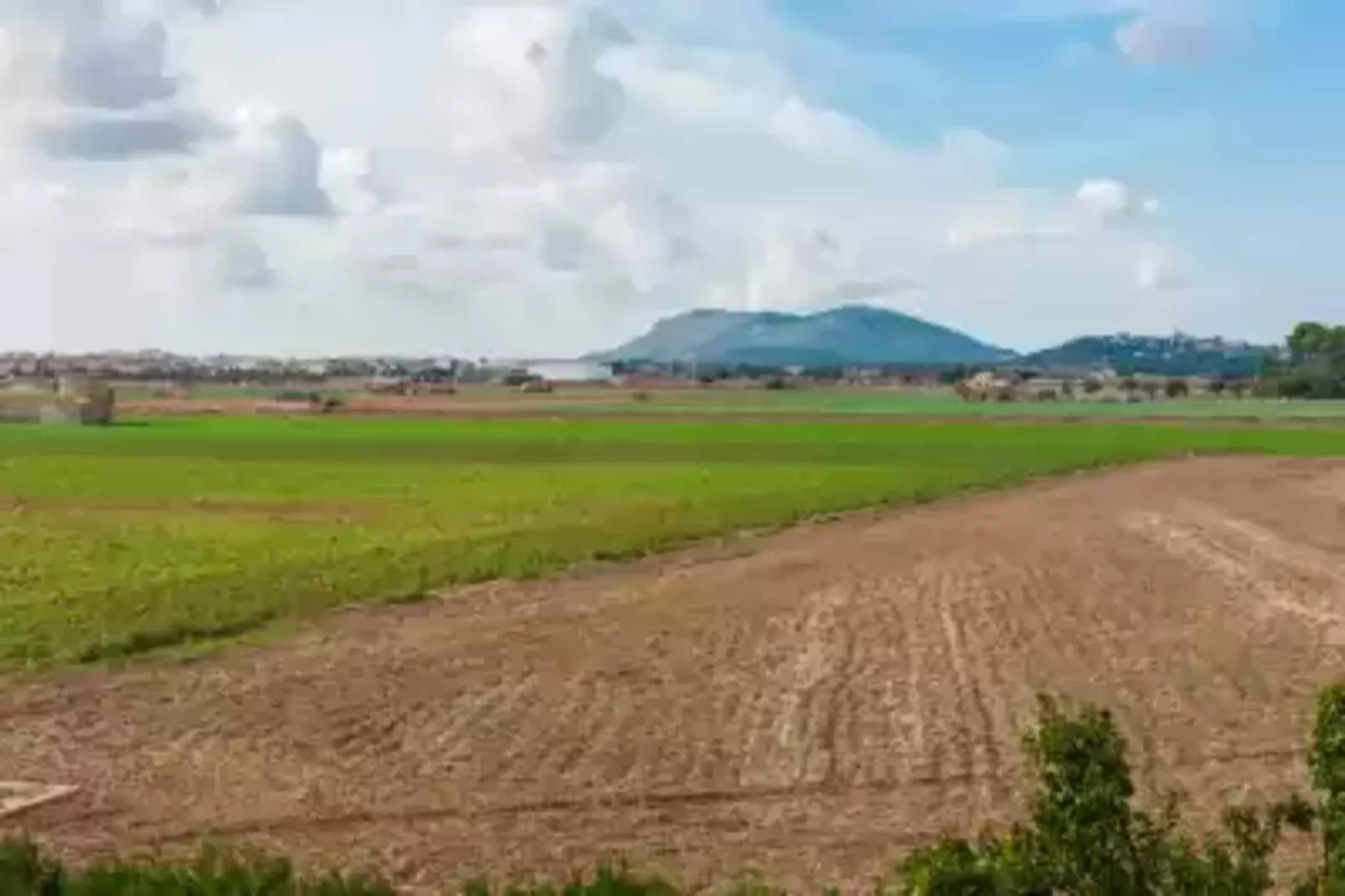 Son Morei De Ses Penyes-Gebieden zomer 5km