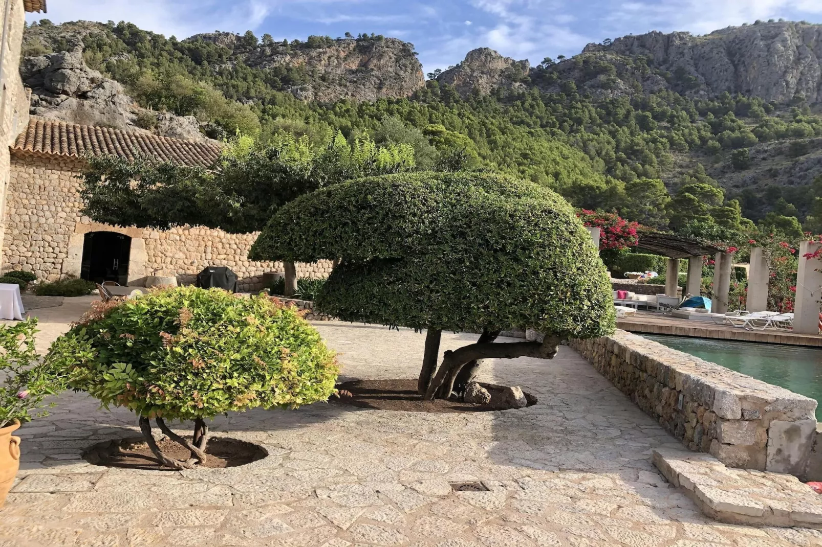 Casa Hidalgo-Buitenkant zomer