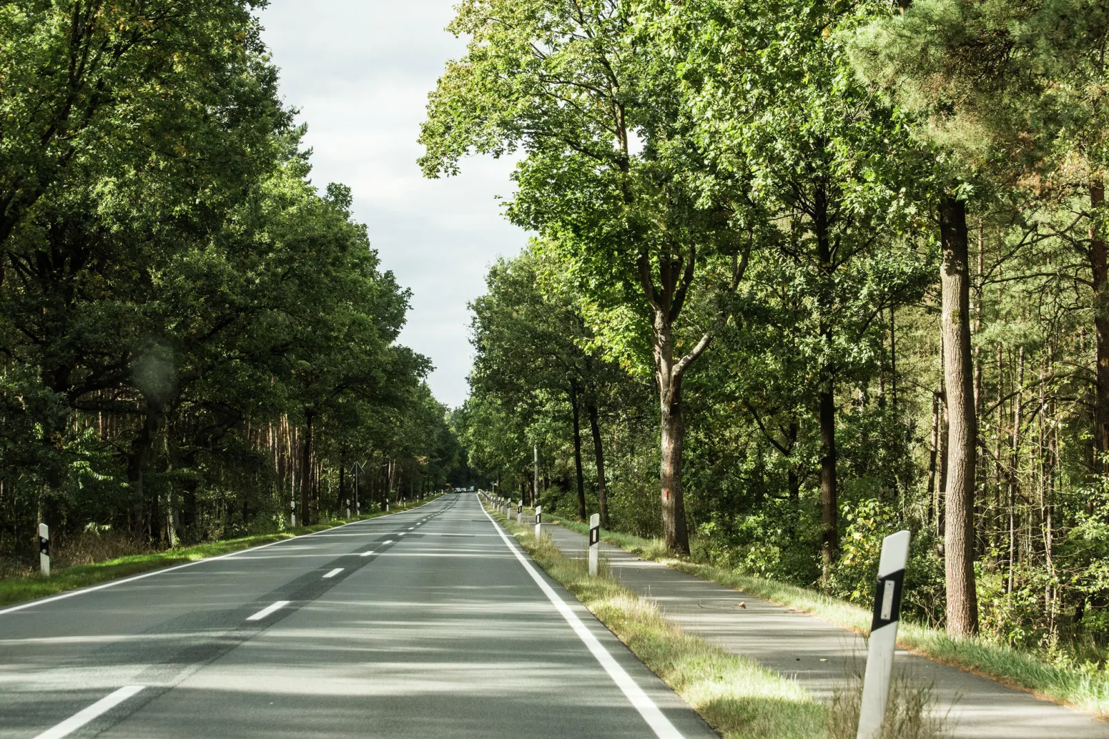 Pfahlhaus an der Aller-Gebieden zomer 1km