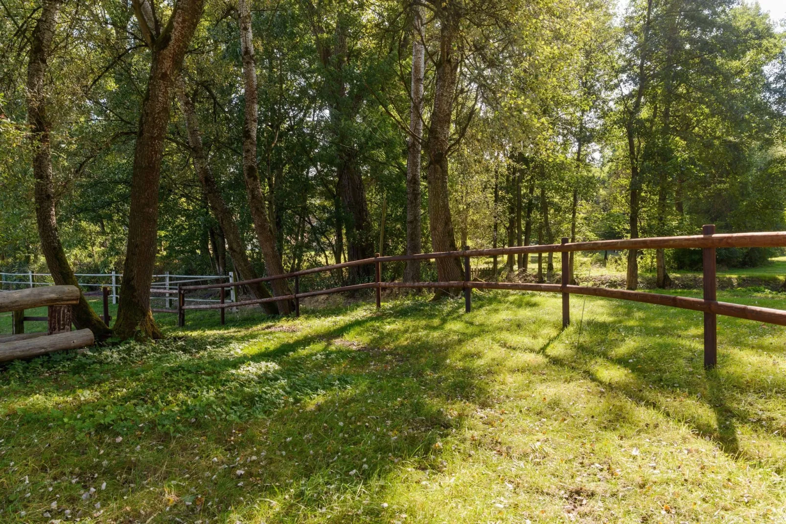 Lüneburger Heide-Tuinen zomer