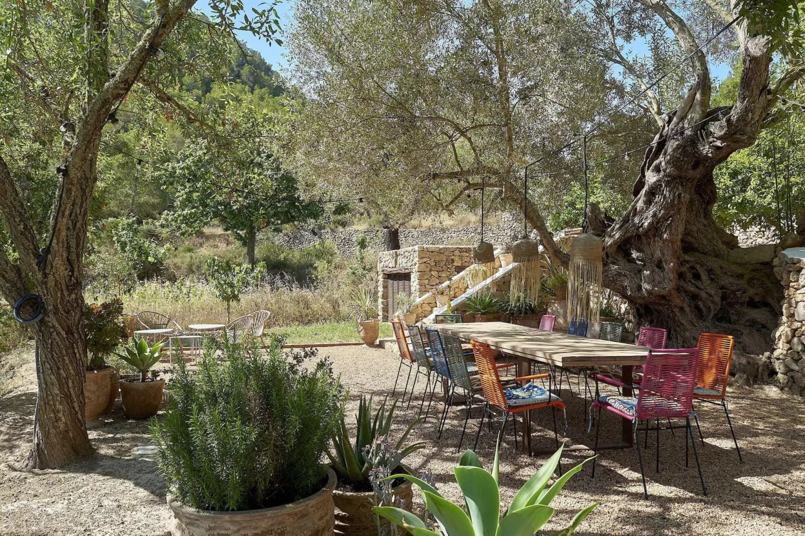 Finca Lavanda-Tuinen zomer