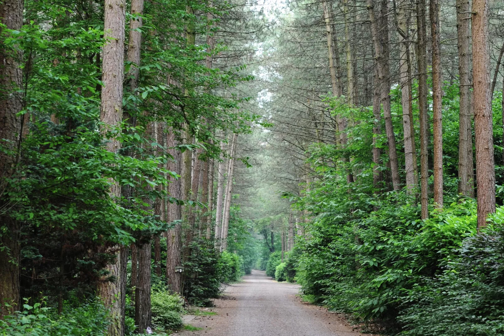 Parc de Kievit 22-Gebieden zomer 1km