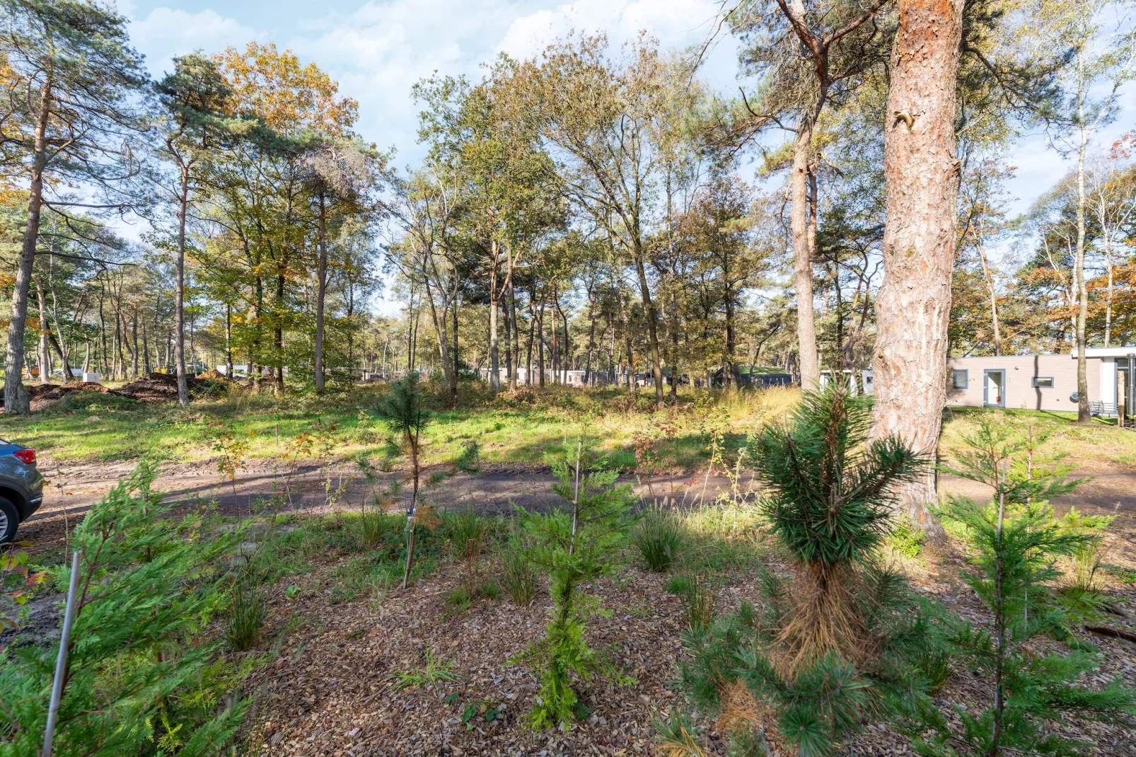 Vakantiewoning Boszicht-Tuinen zomer