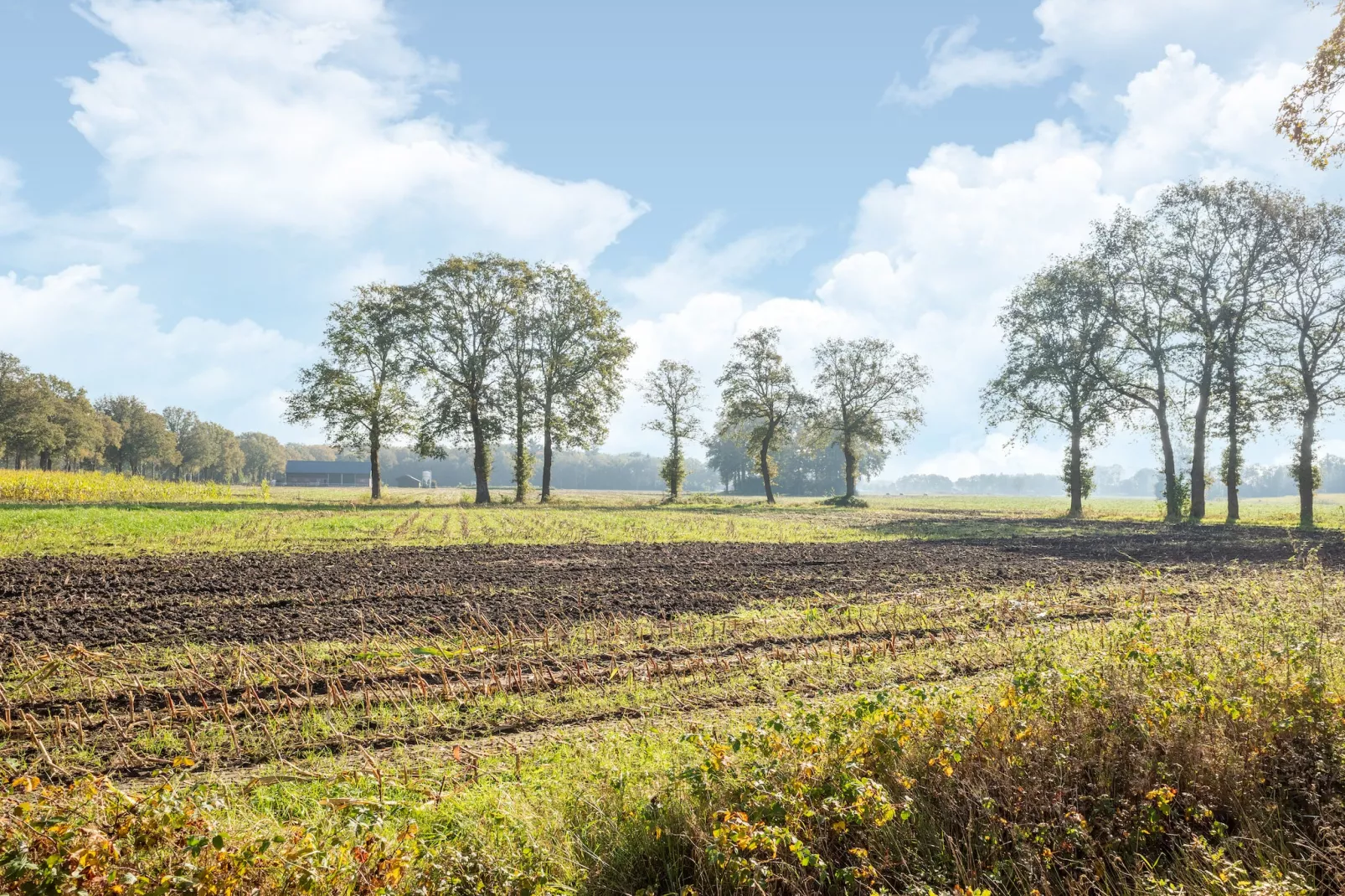 Vakantiewoning Boszicht