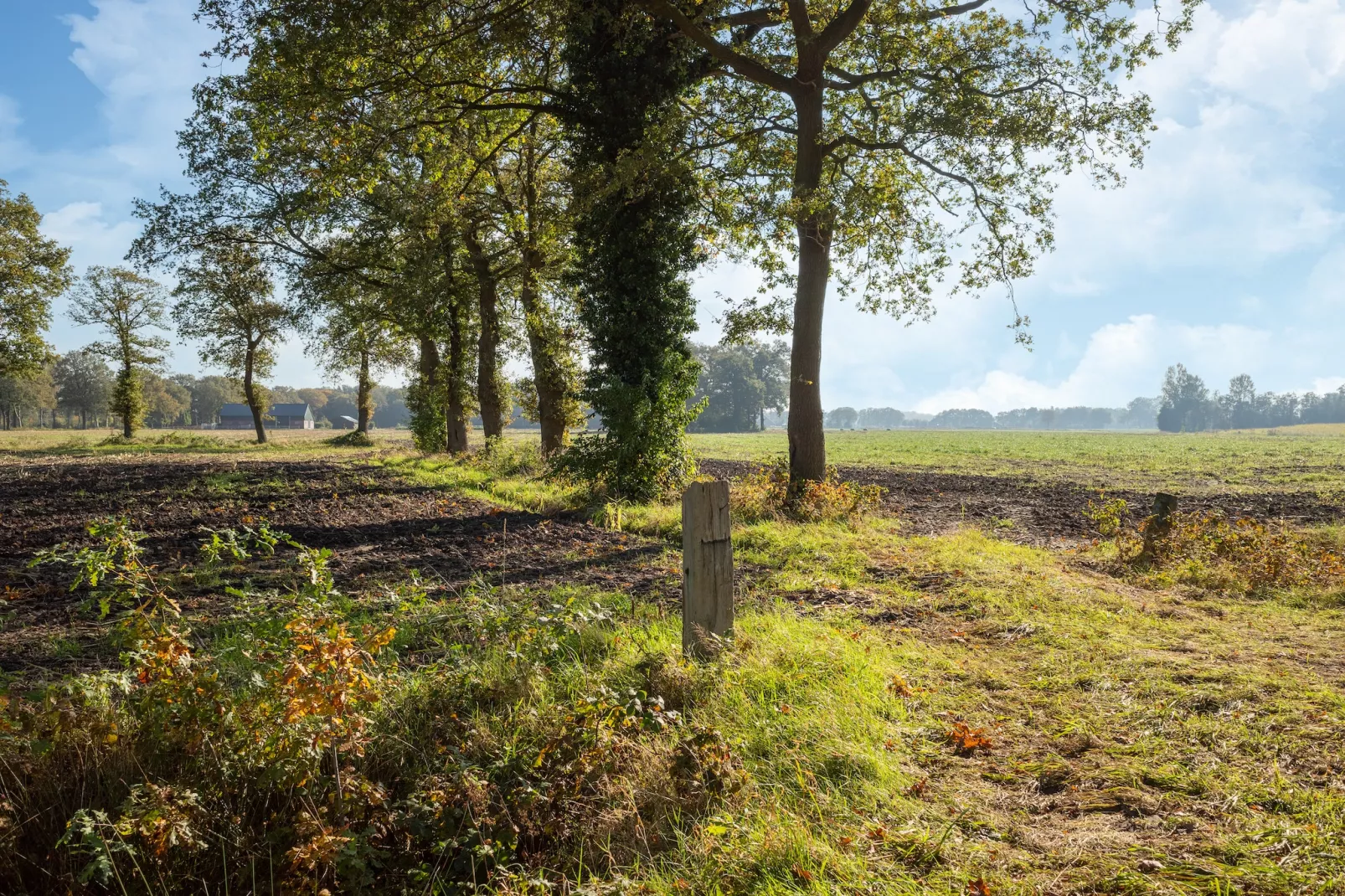 Vakantiewoning Boszicht-Gebieden zomer 1km