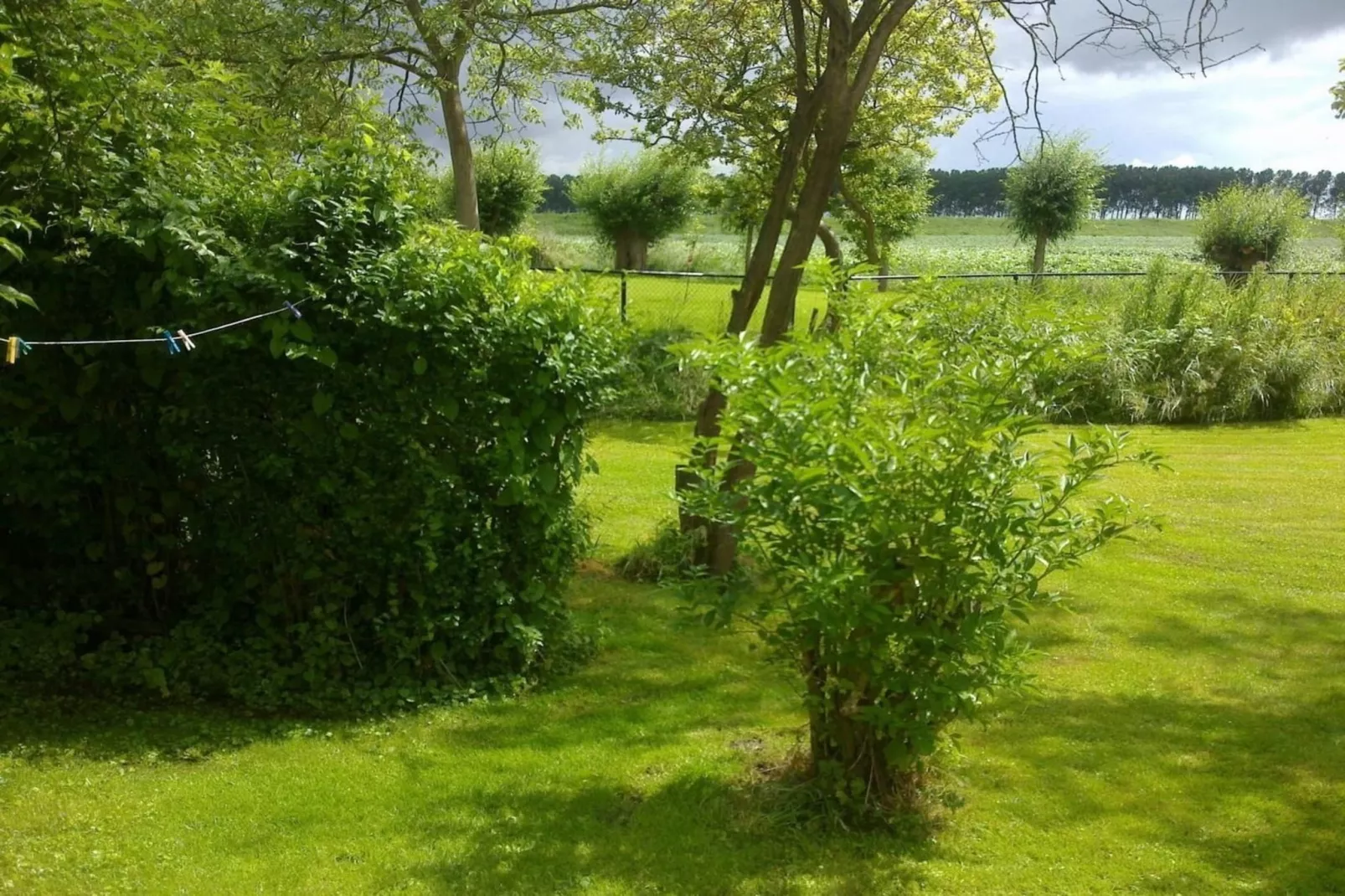 Nummer Één 26a Hoofdplaat-Tuinen zomer