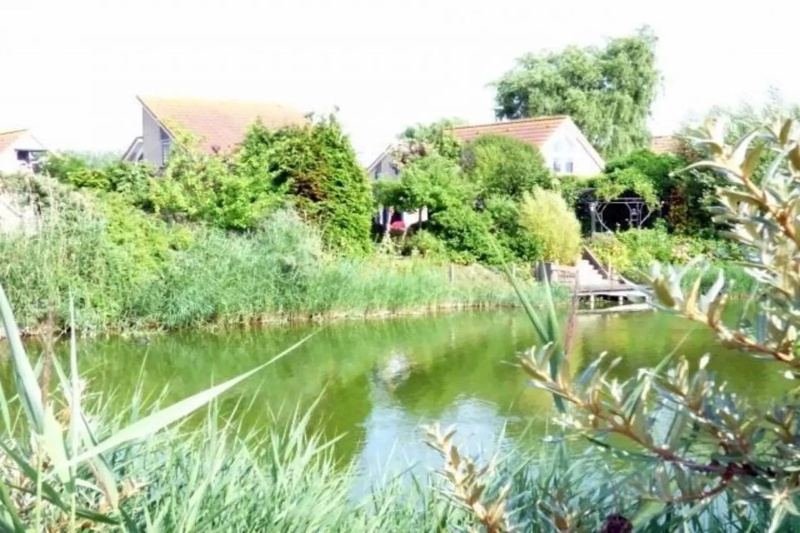 Scheldeveste 153 Zwin Breskens-Gebieden zomer 1km