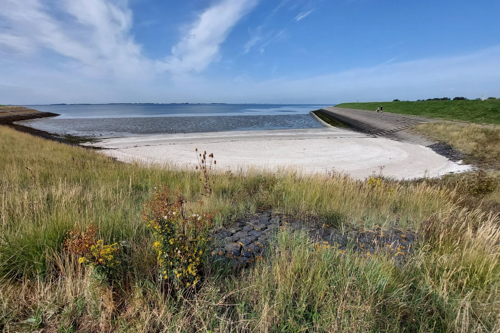 De Meerkoet Huis Nr 37-Gebieden zomer 5km