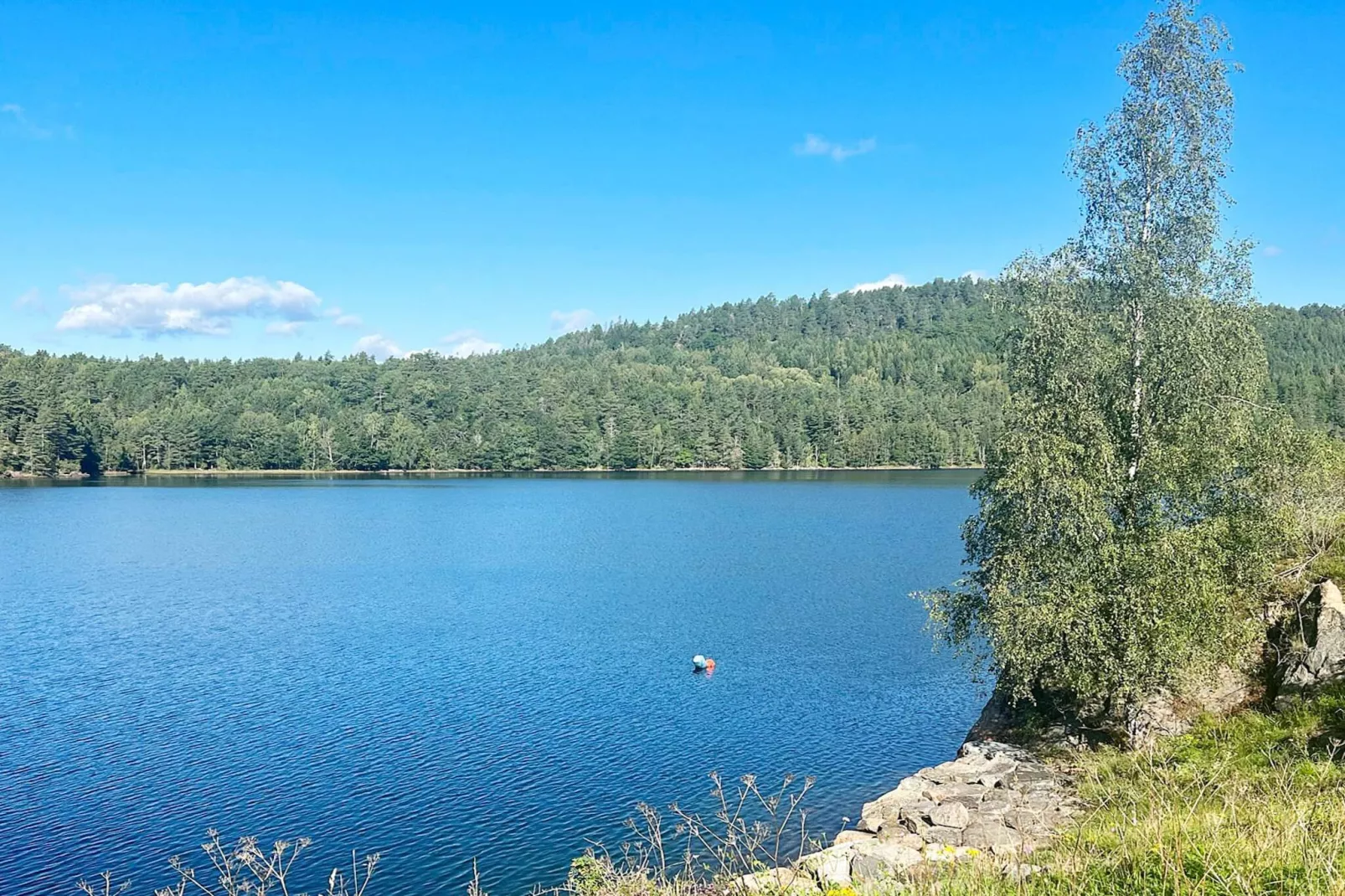 10 Personen vakantie huis in TVEDESTRAND-Waterzicht