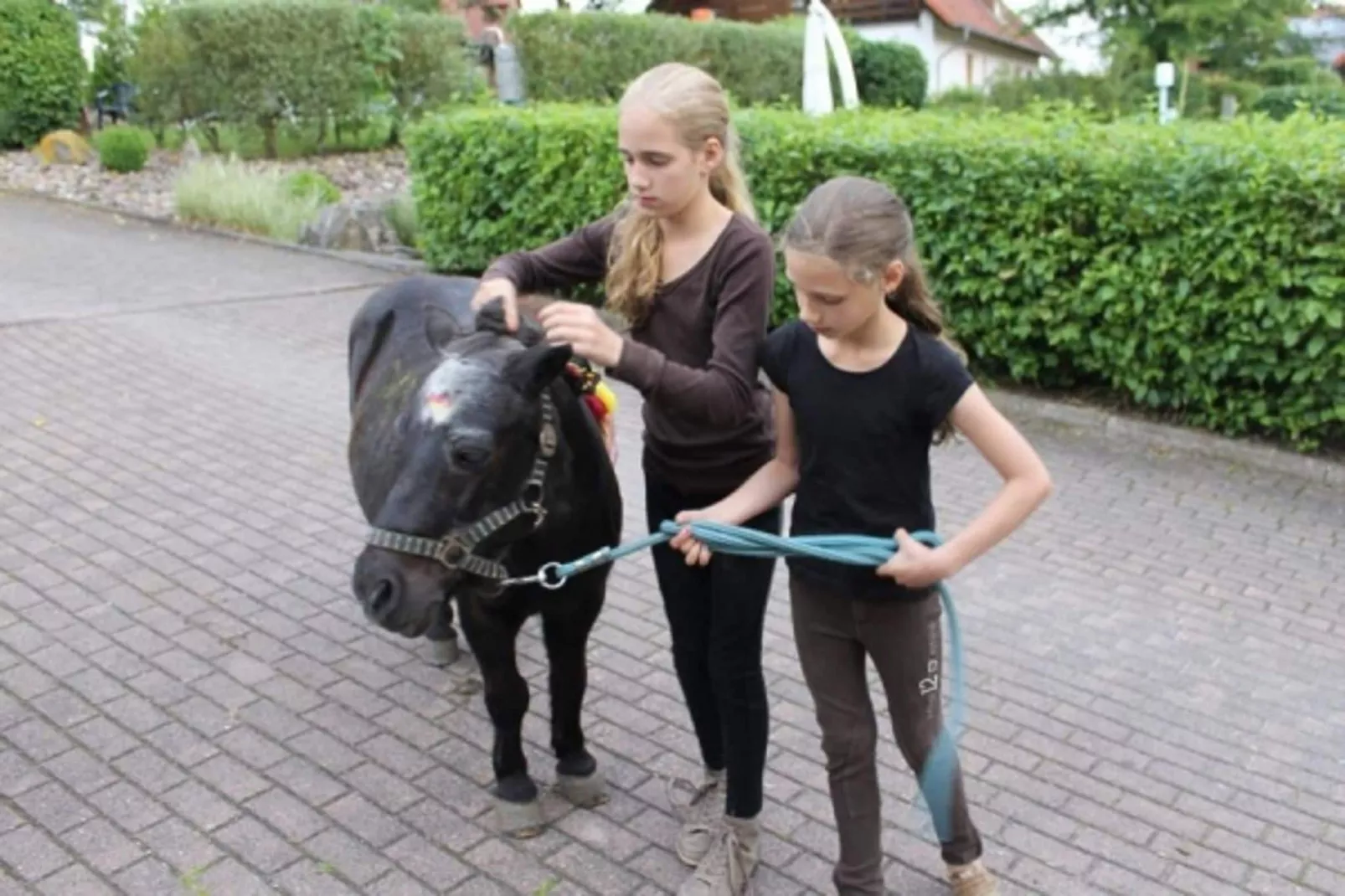 Feriendorf Natur pur 2-Parkfaciliteiten