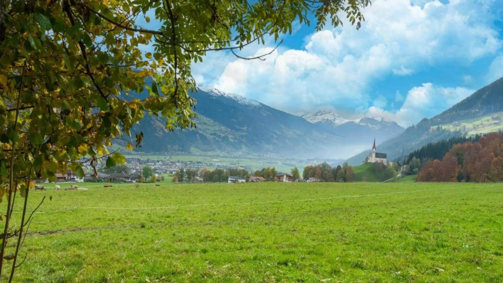 Helfenstein Lodge-Gebieden zomer 5km