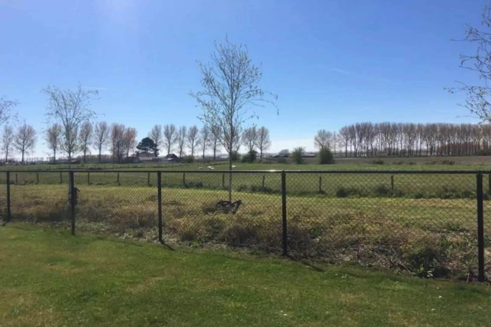 Landgoed de Lente 12 Krokus Breskens-Tuinen zomer